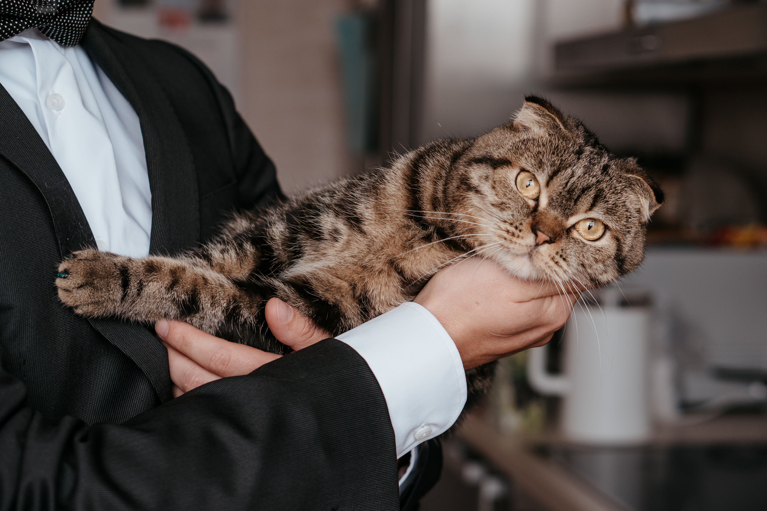 Алексей и Елена. Свадебный фотограф в Москве