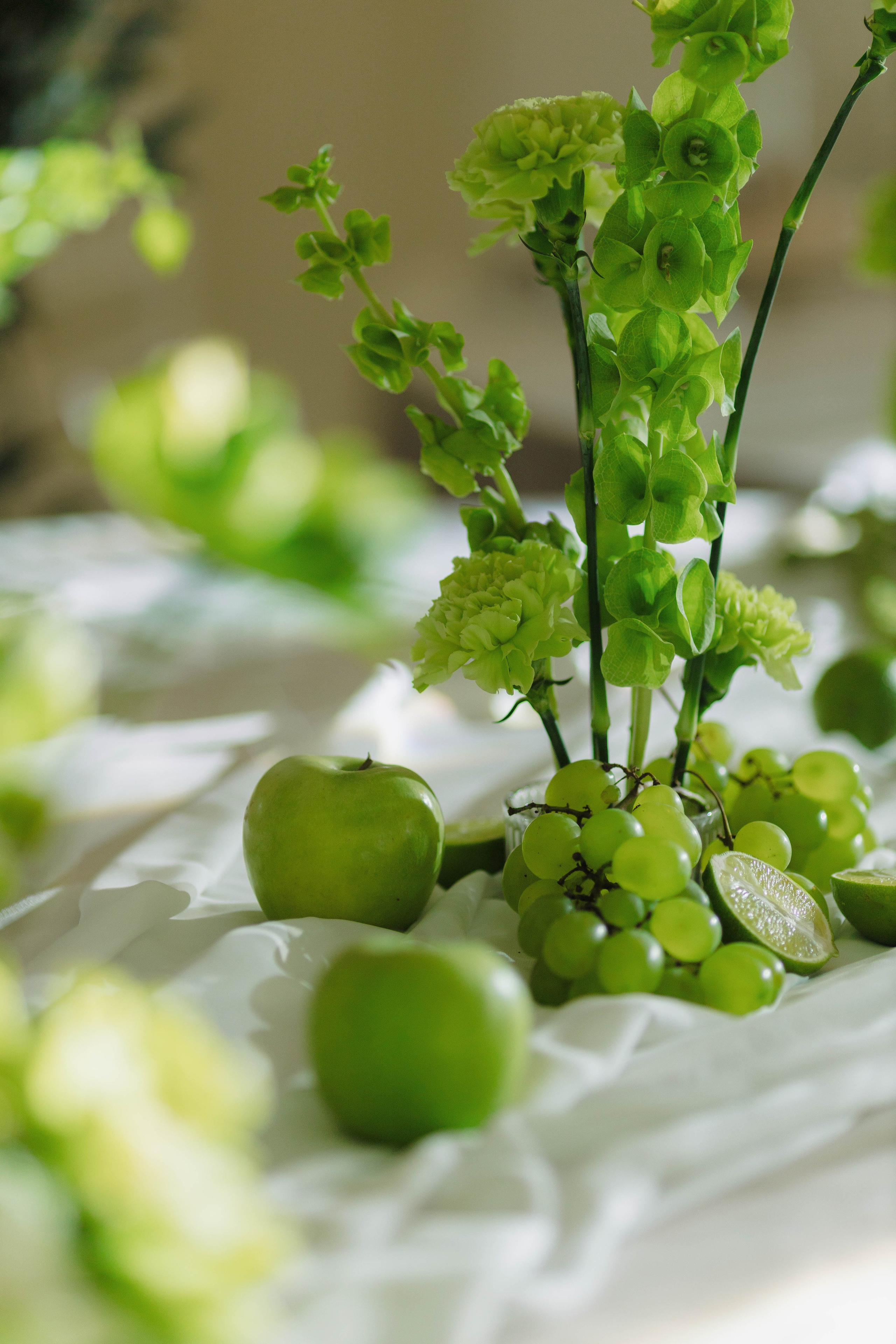 Зеленый сад