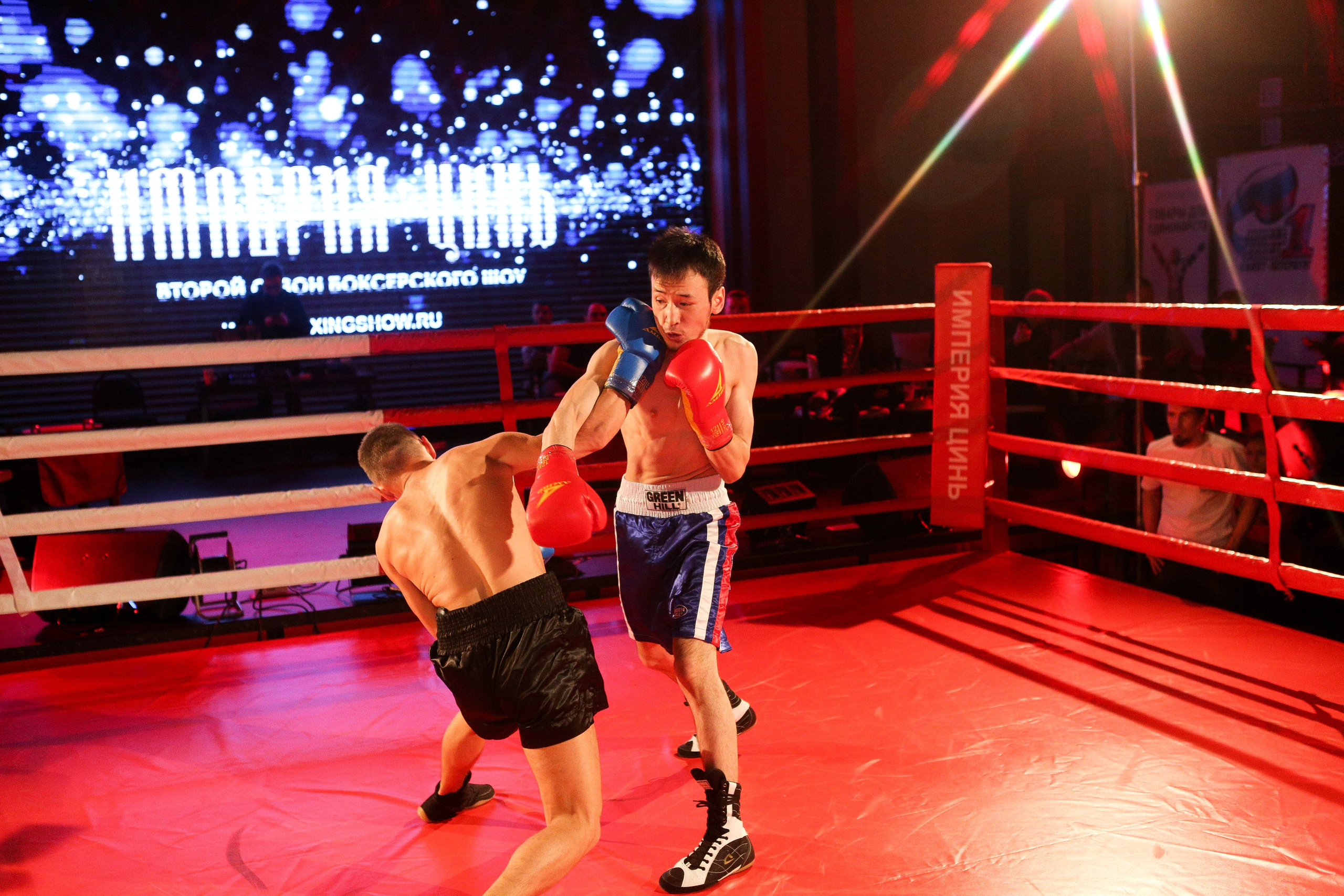 БОКС Империя Цынь, турнир первый. Фотограф Александр Заломаев