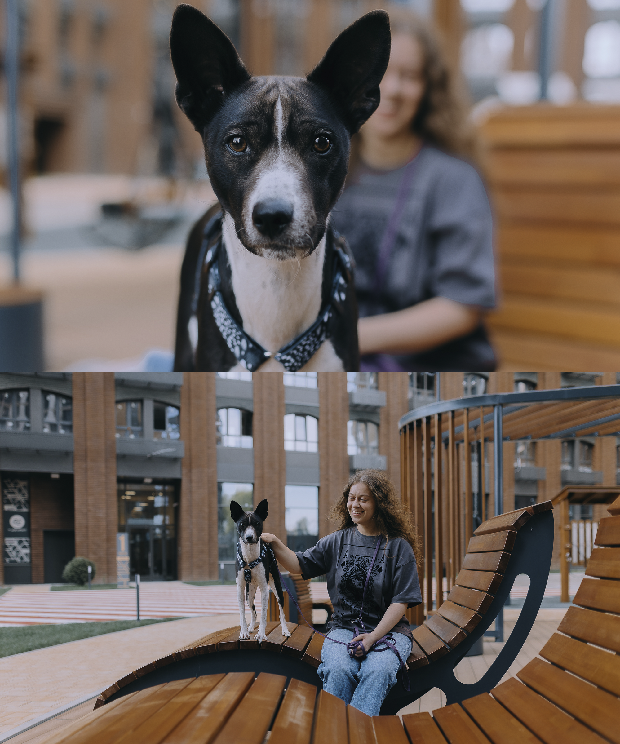 🐶. Фотограф Вика Про
