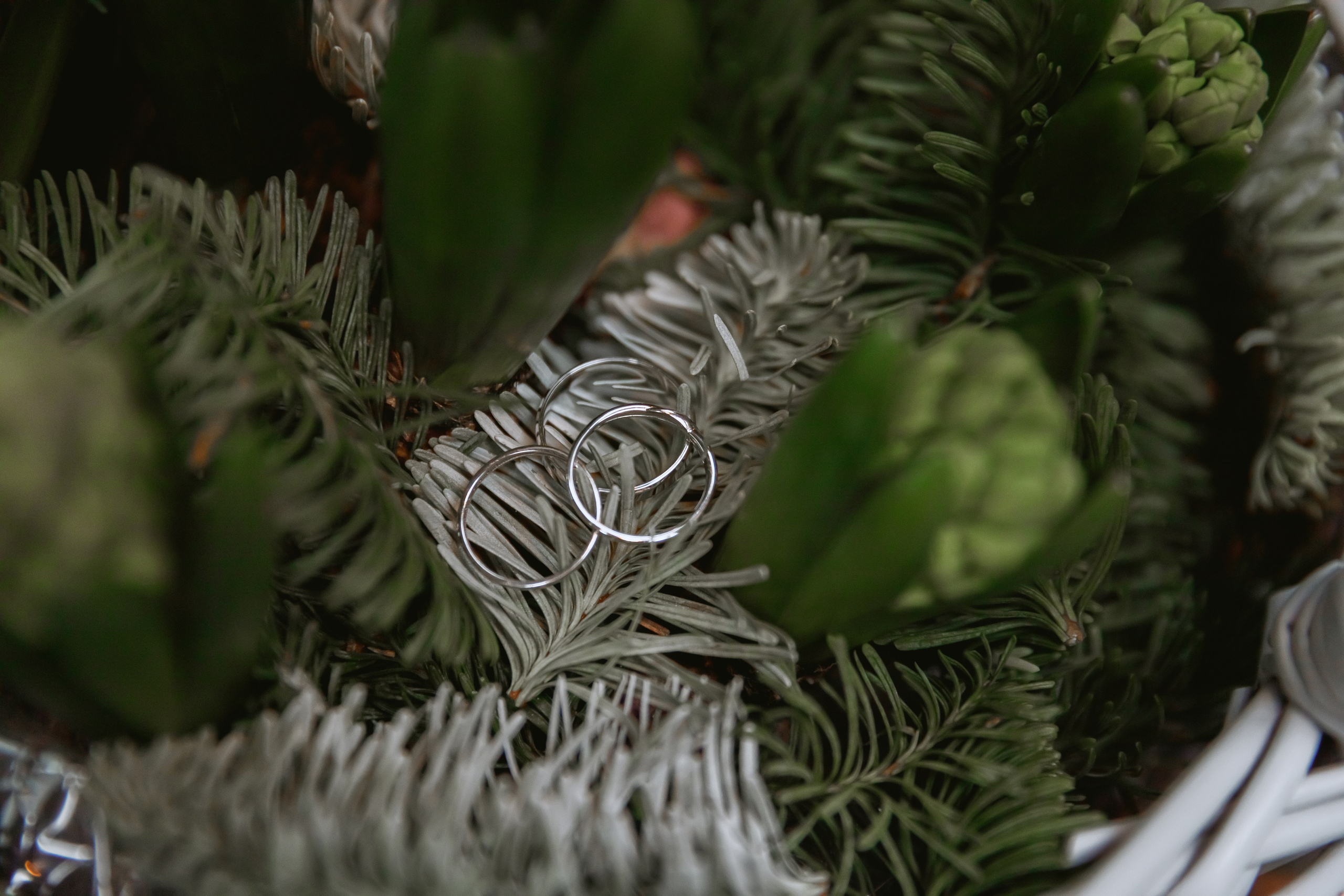 Филипп и Василиса. Свадебный фотограф, крещение, венчание СПБ, Белгород Анна Коршунова