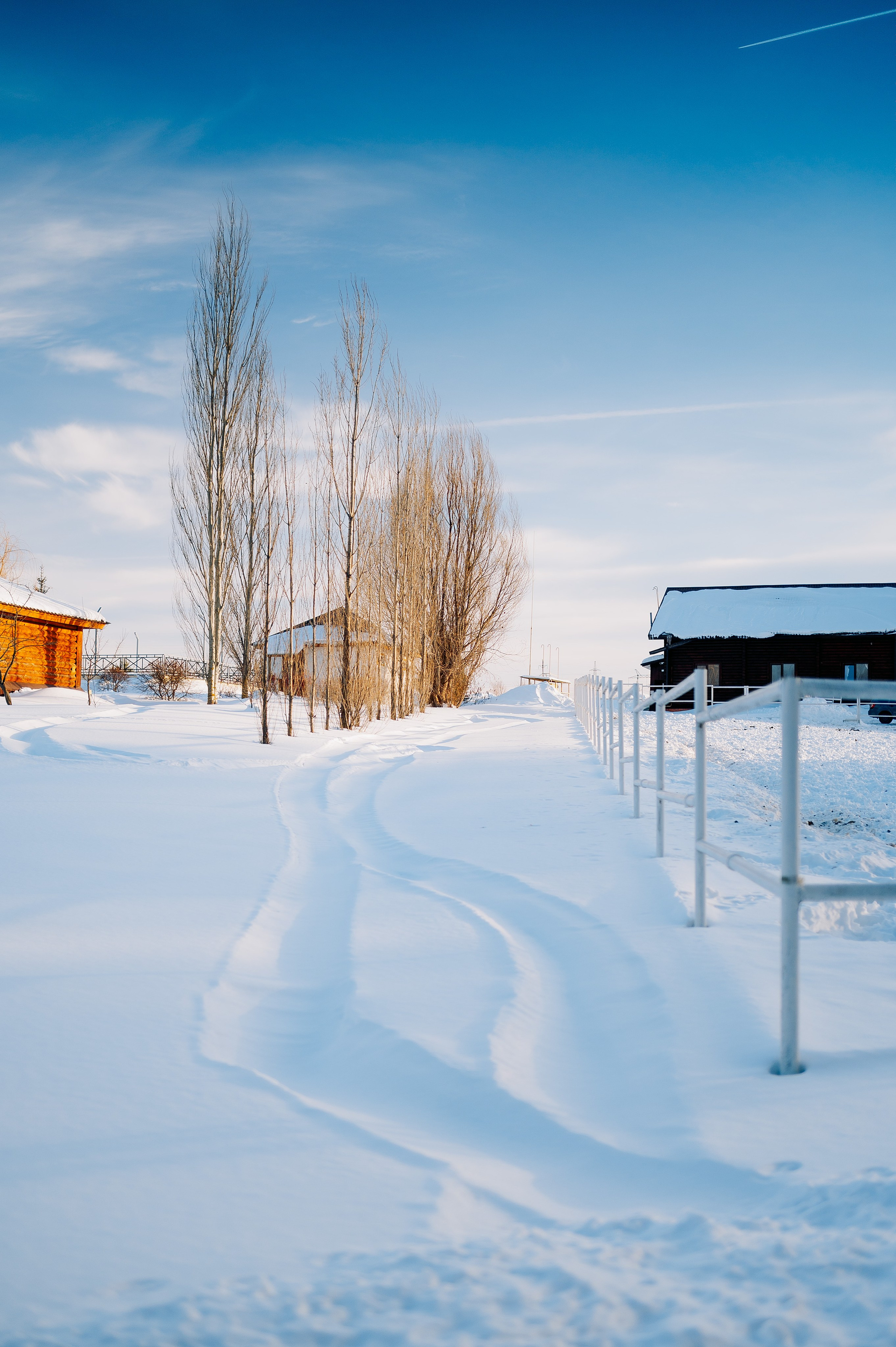 База отдыха «Заимка», Чувашия, февраль 2024. Фотограф Александр Золотых