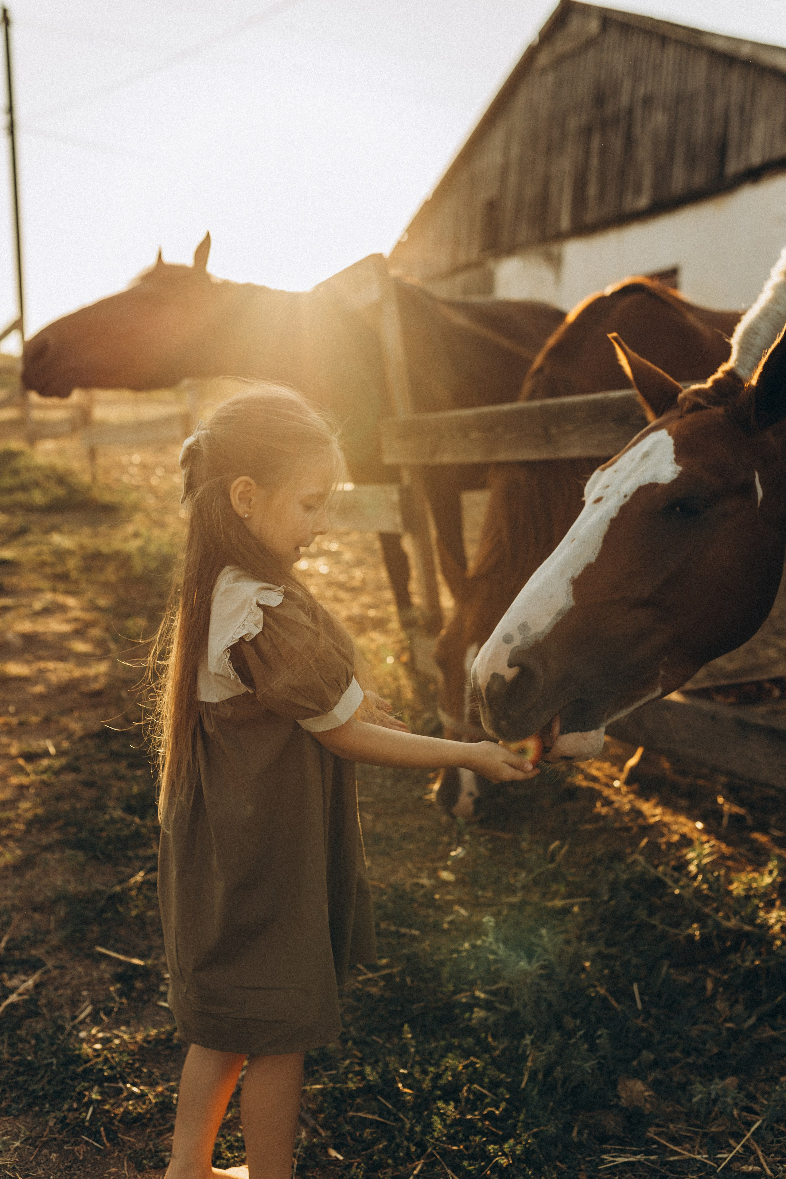 На ферме. Семейный фотограф в Новороссийске и Анапе Александра Яковлева