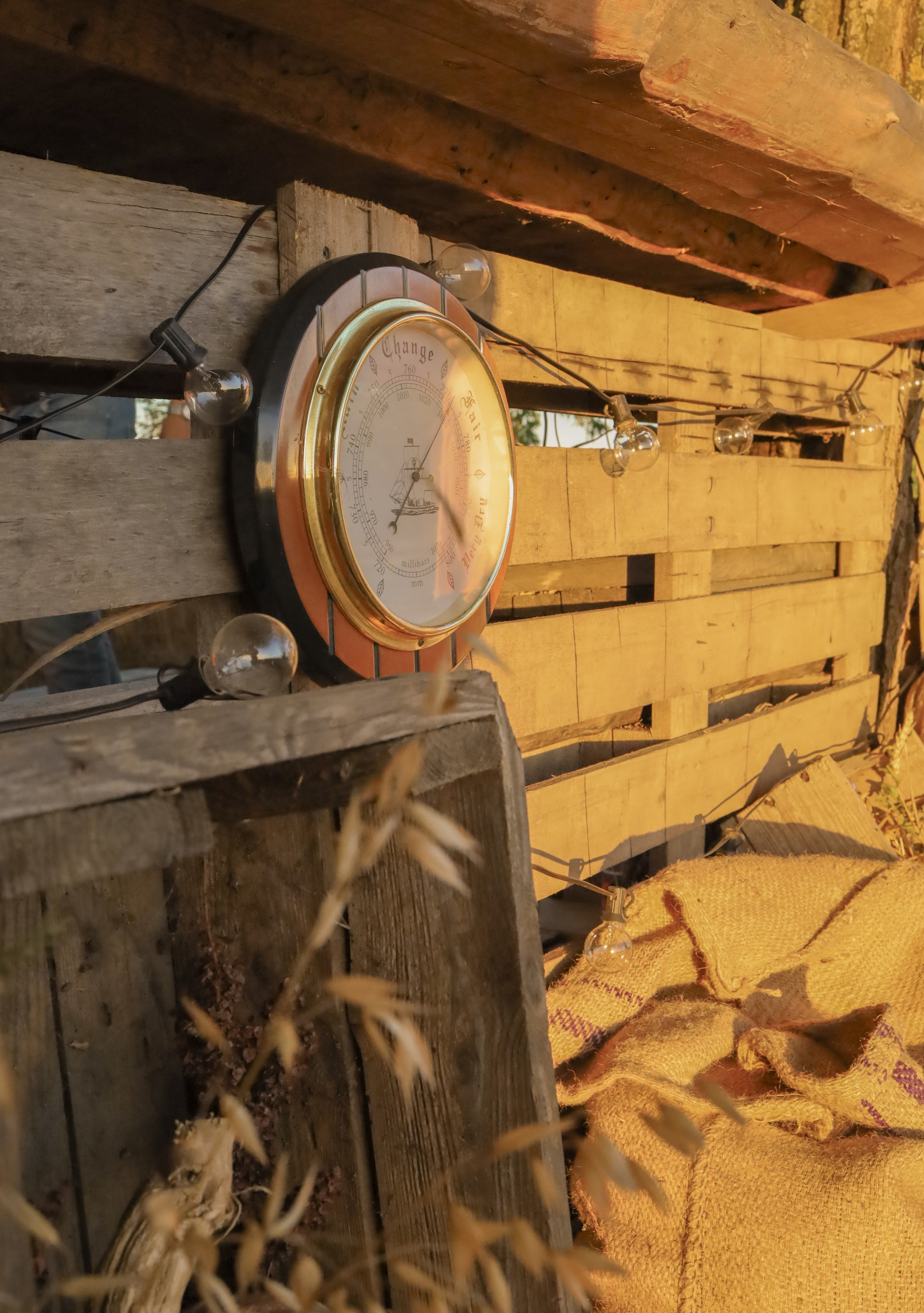 Вечеринка на частной винодельне ✨. Женский портрет и немного больше в Санкт-Петербурге