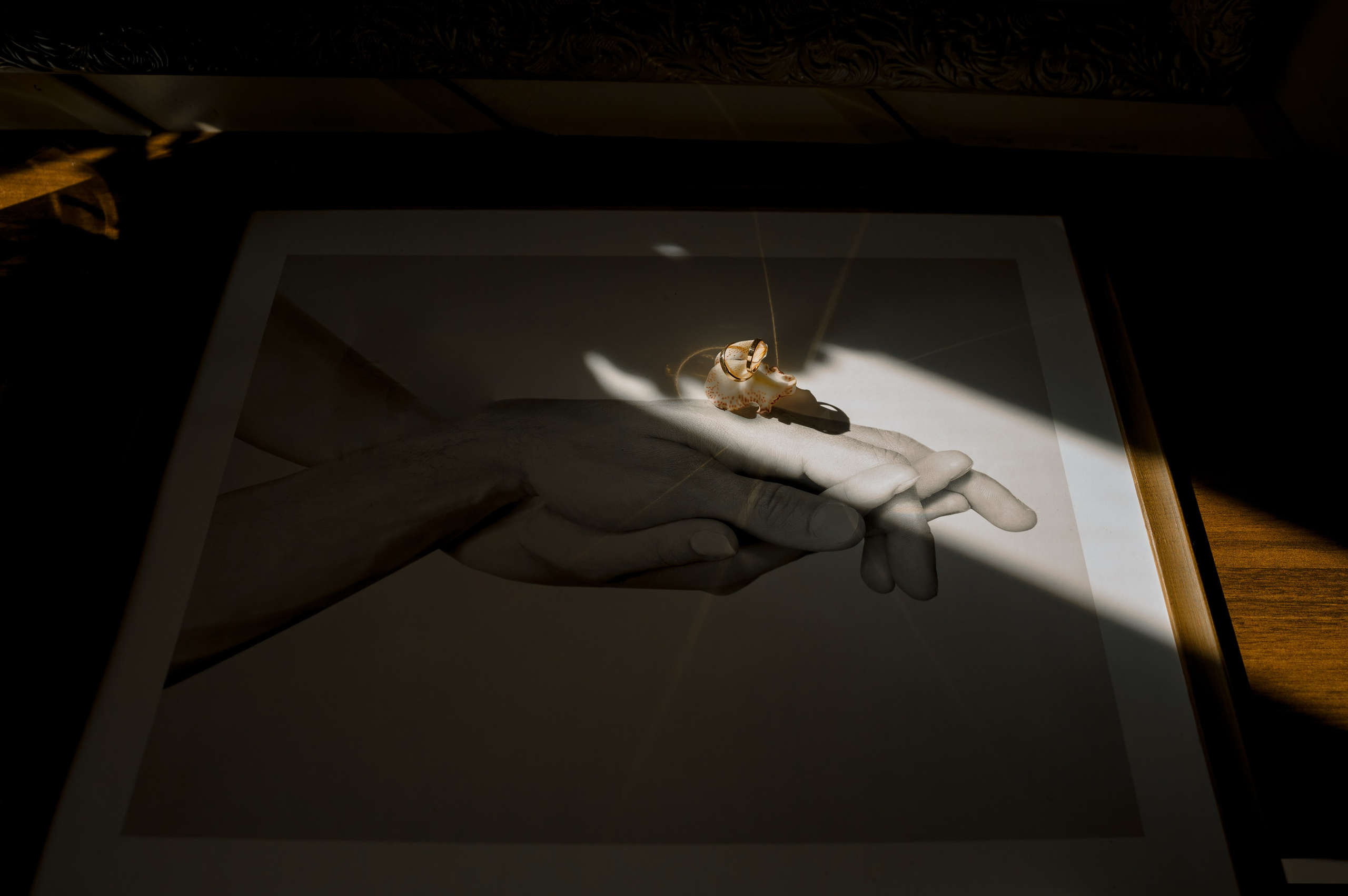 СВАДЬБА. Ваш фотограф Любовь Чистякова