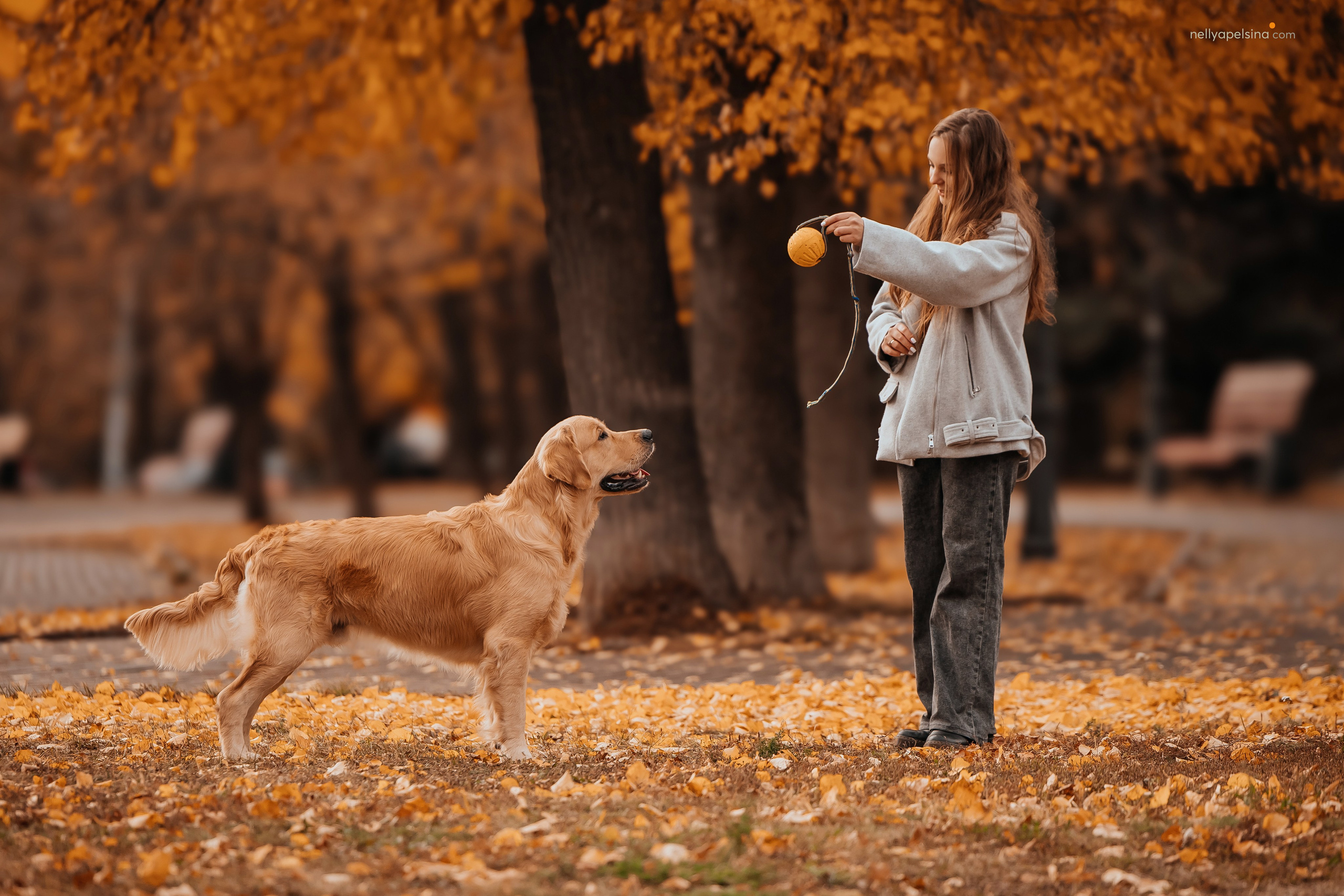 Настя, Дима, Олег и Арчи. Фотограф Нелли Самойлова
