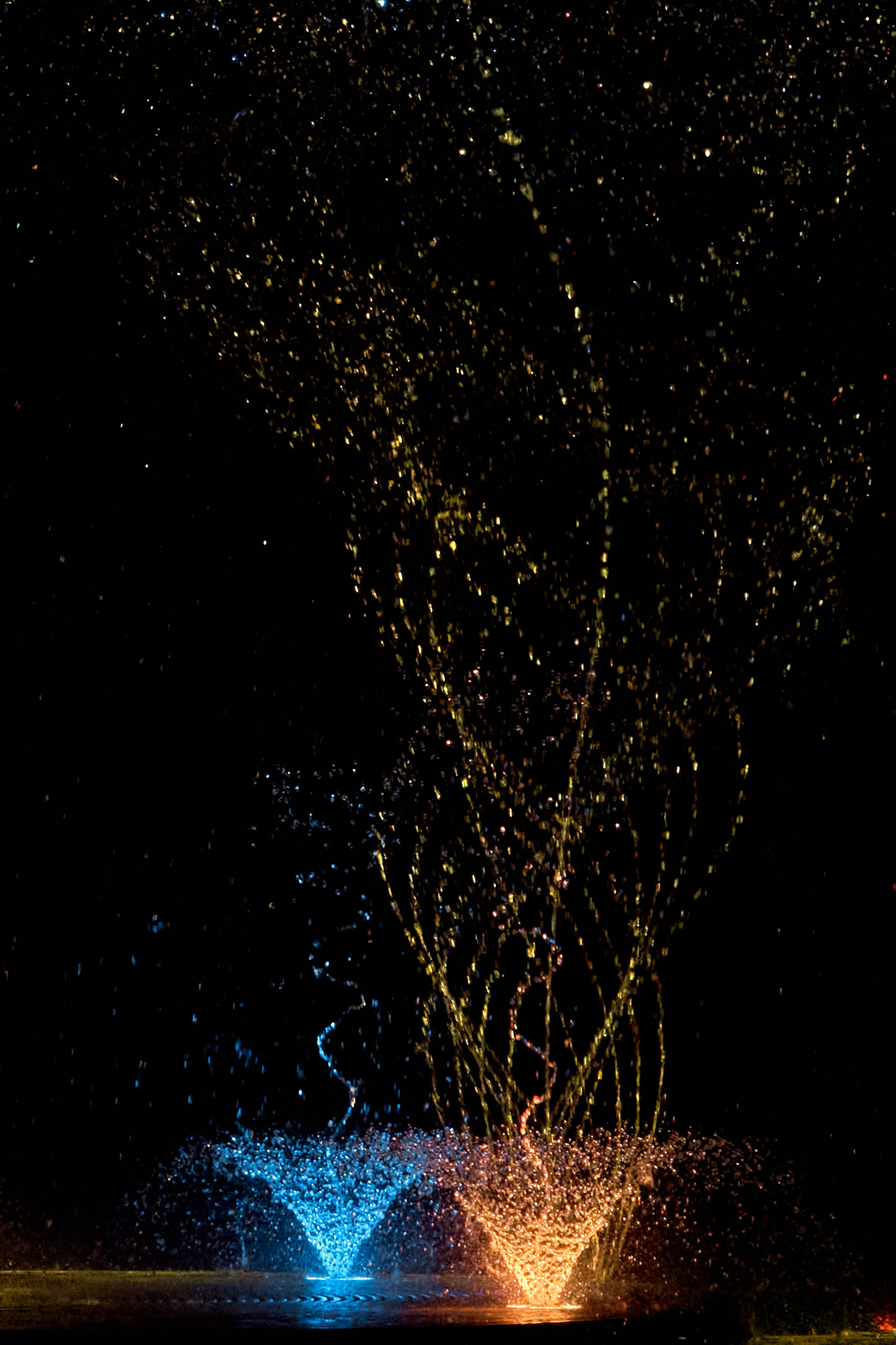 Цирк «На воде». Фотограф