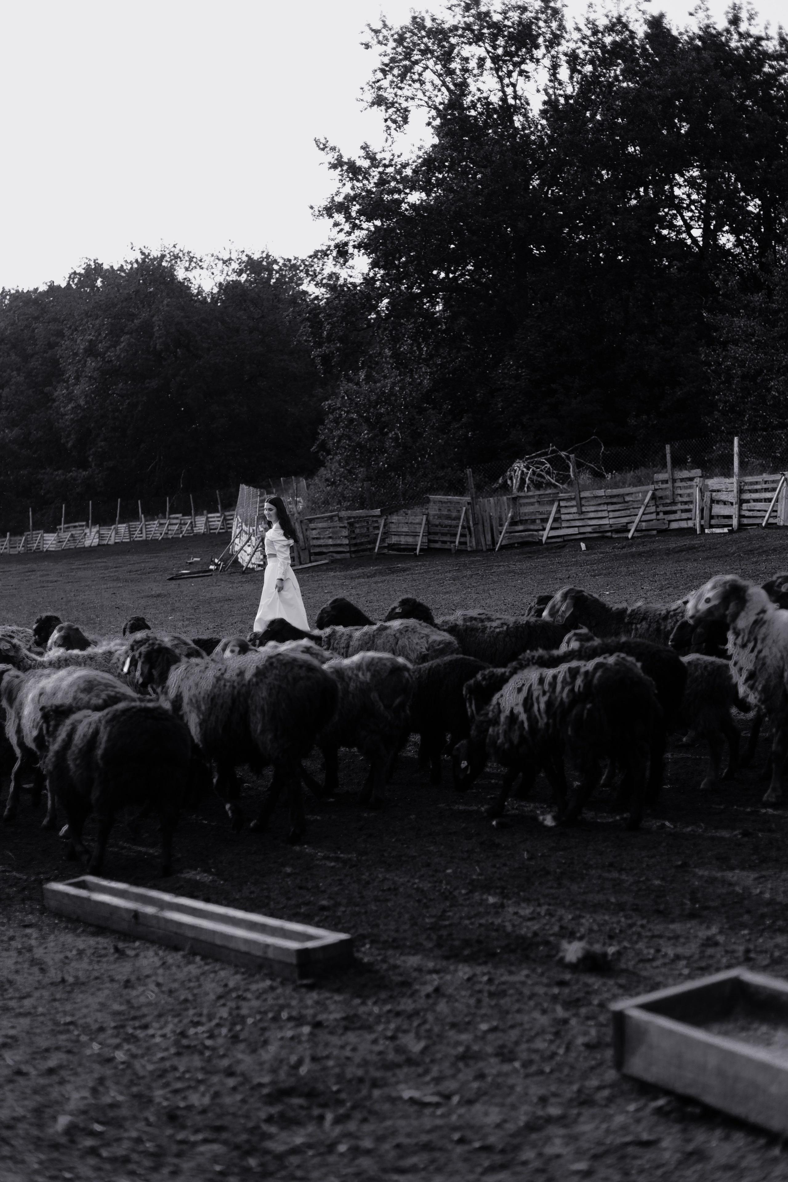 Наташа. Главная