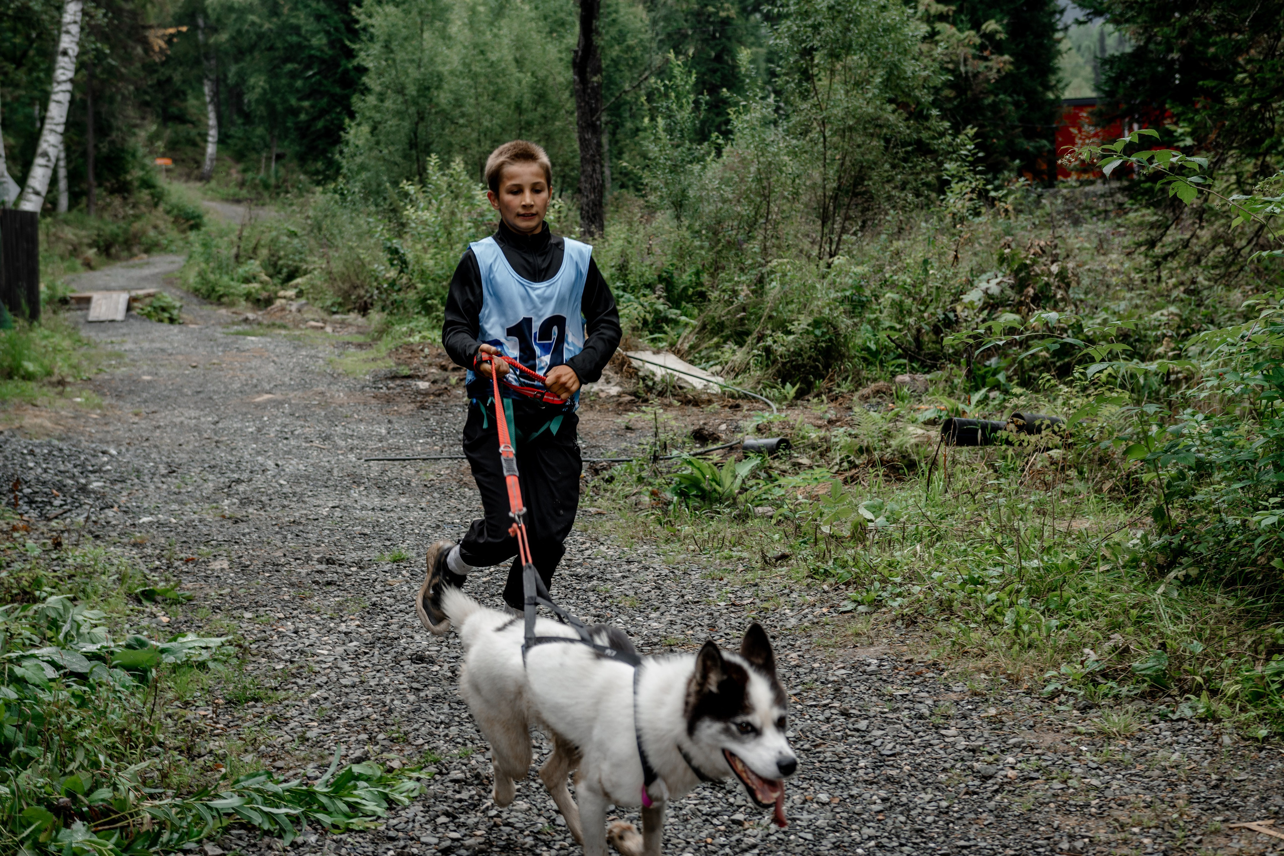 Дог-треккинг