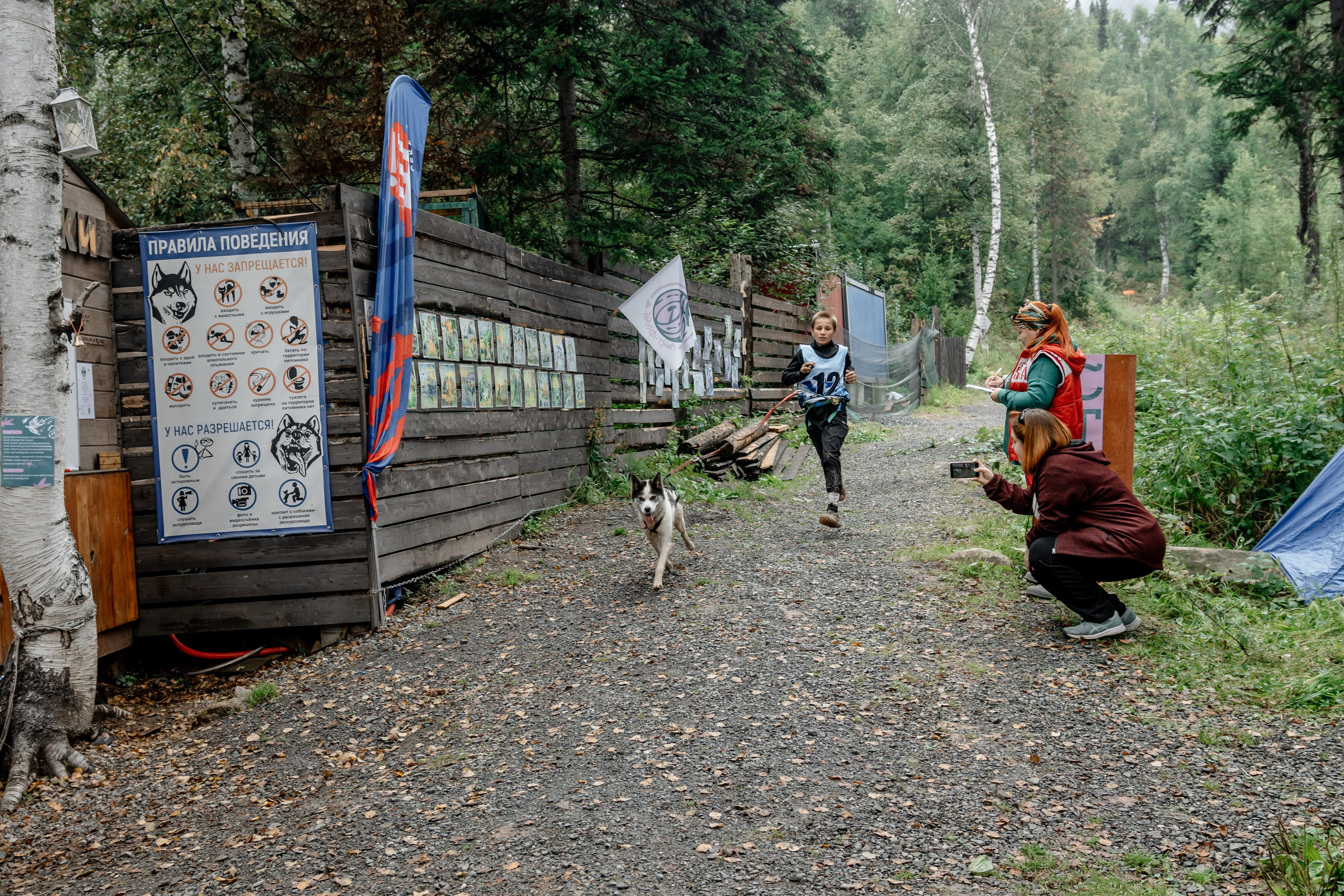 Дог-треккинг