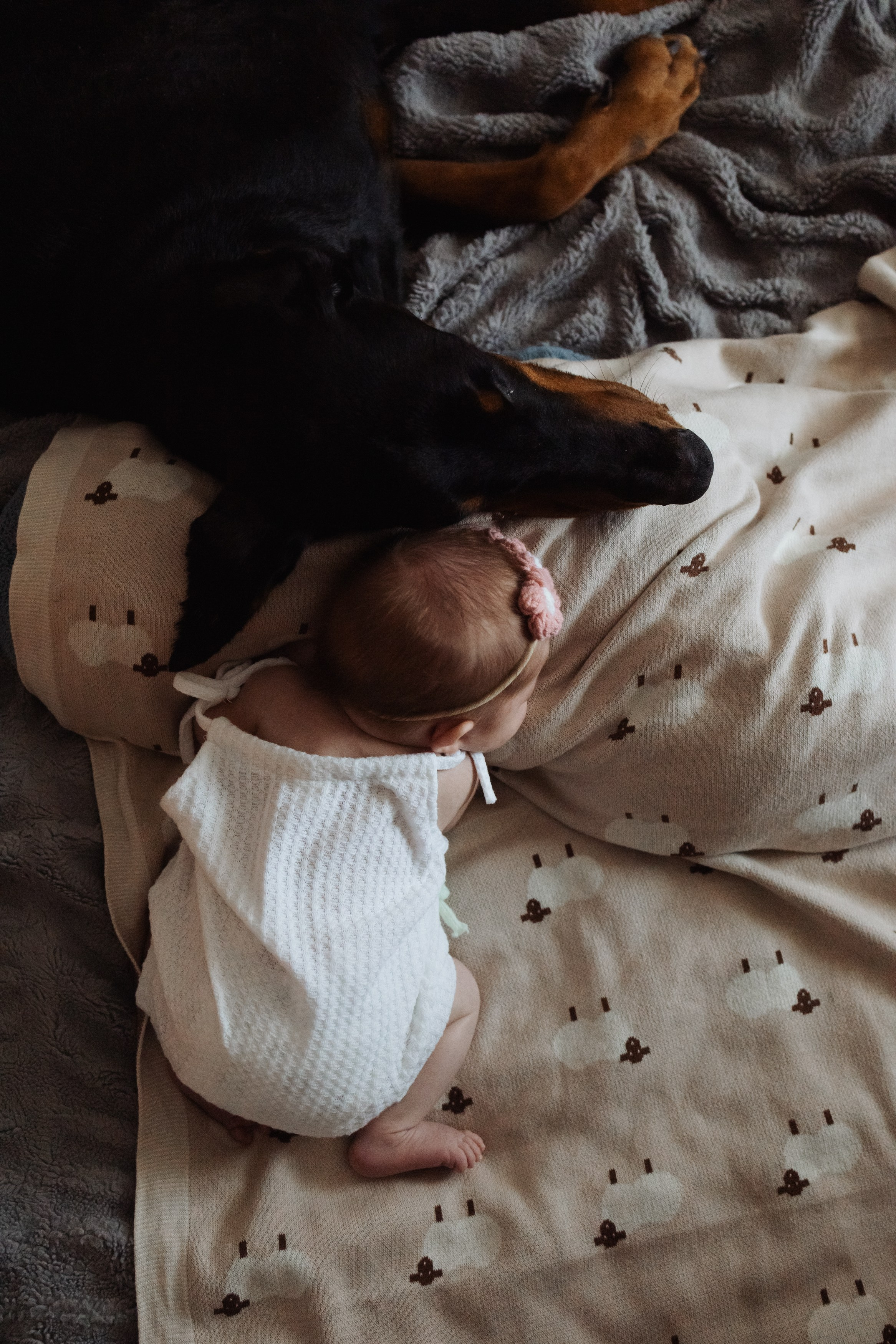 Ньюборн Алиса. Семейный, ньюборн newborn фотограф, фотограф новорождённых в Санкт-Петербурге, Пушкине, Павловске. Павлова Анастасия