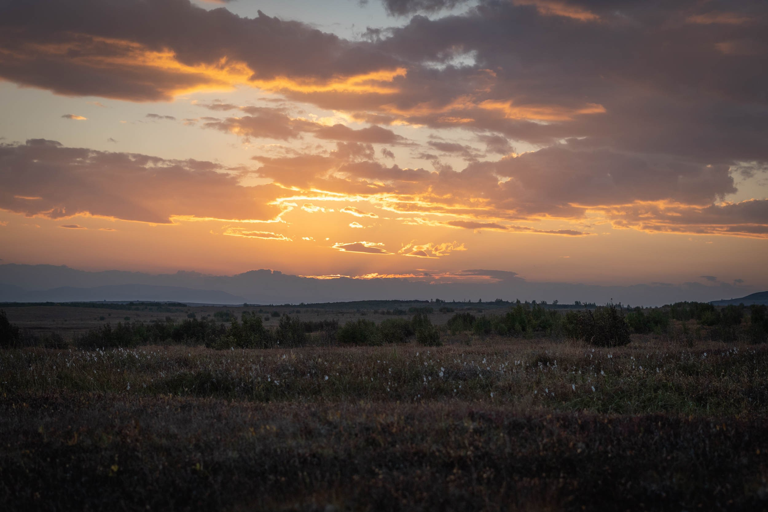 Рифы девонского моря. Фотограф Екатерина Зорина