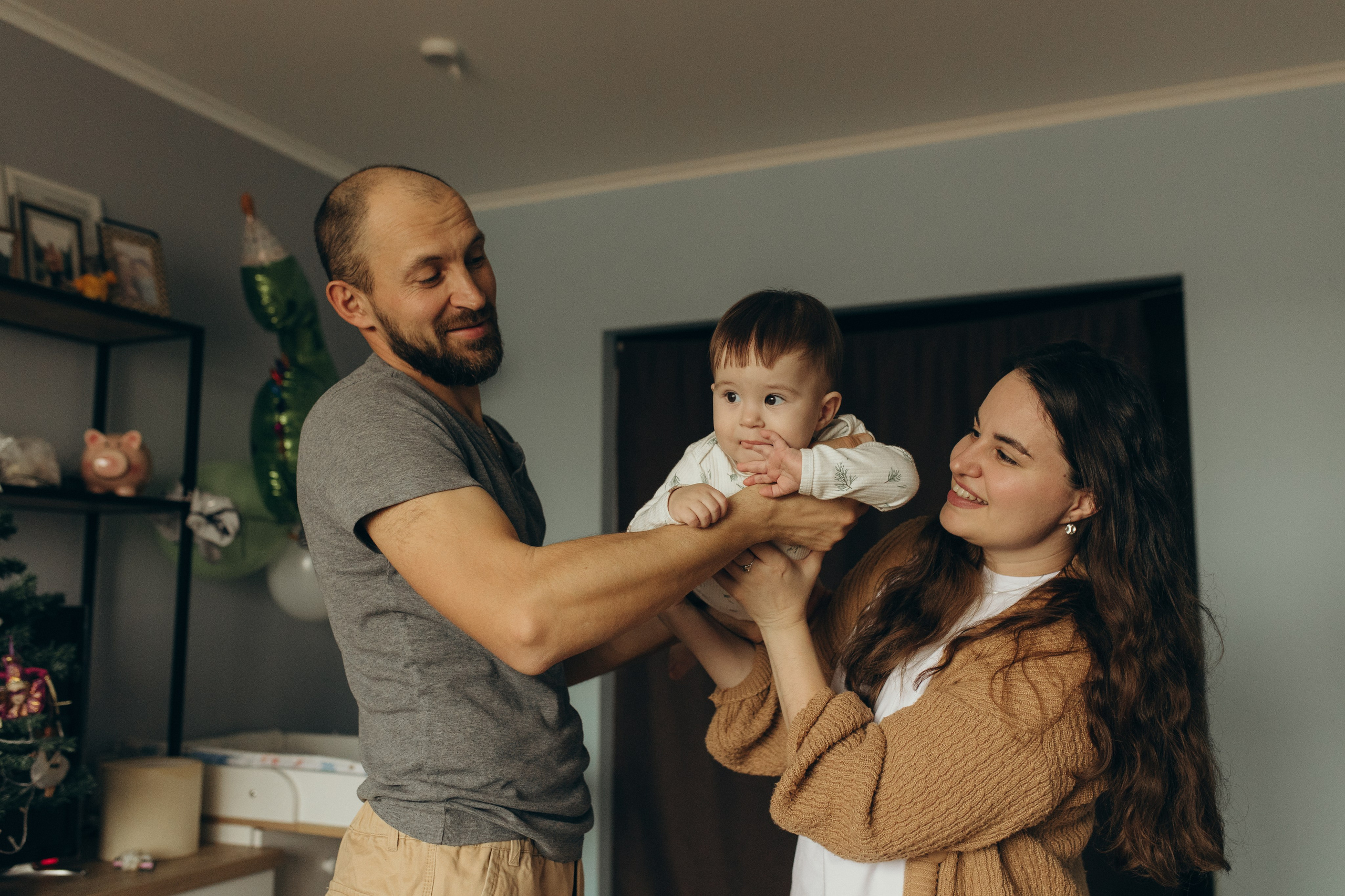 Домашняя история. Meryfotoidea