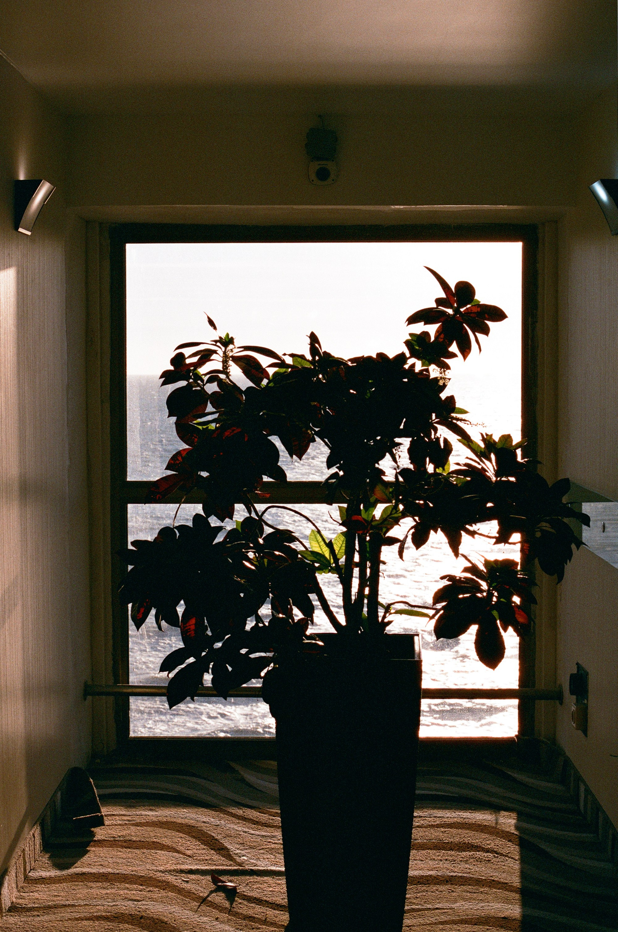 КиВиН-2024. #спецкорНвер