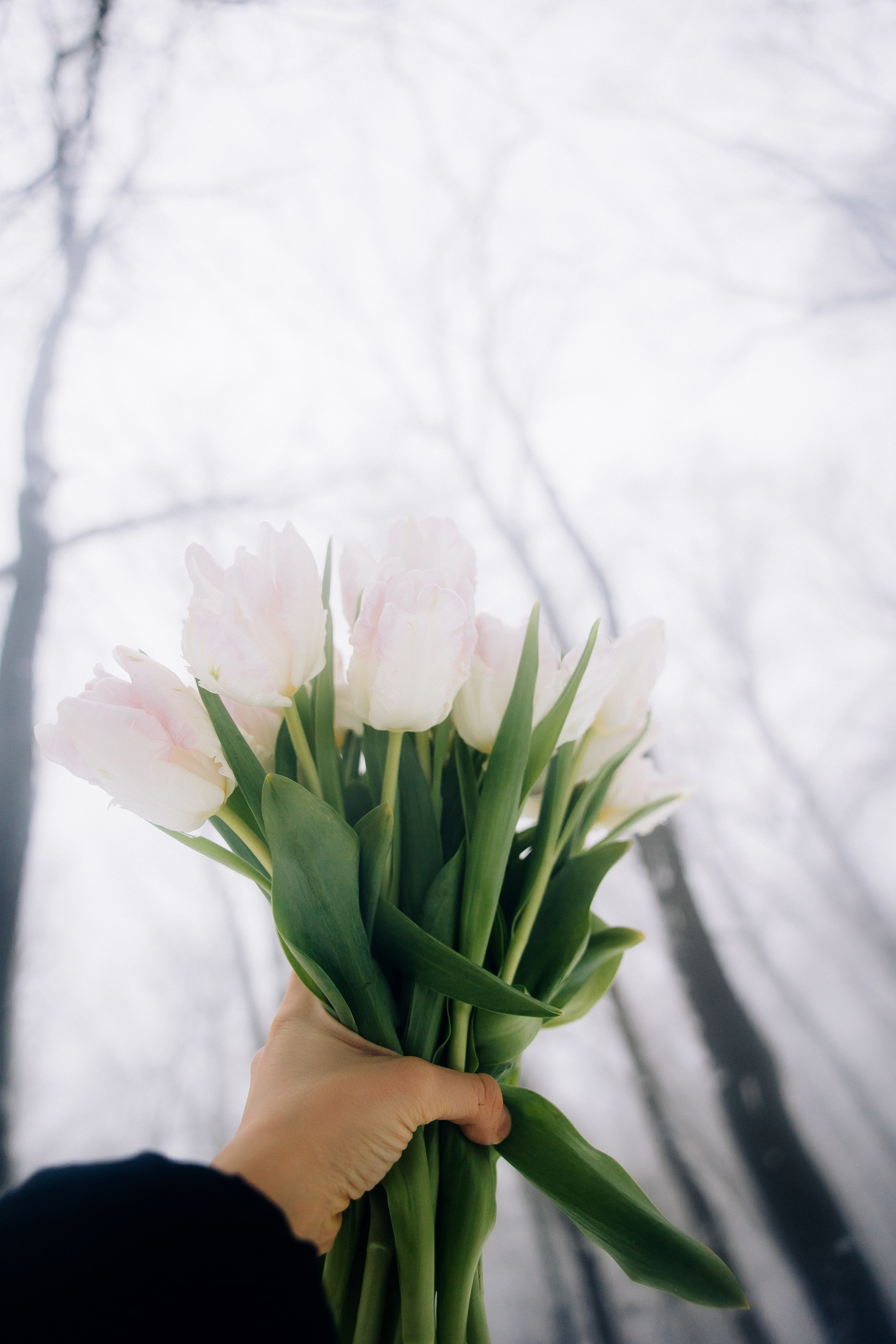 Нежность. Свадебный и семейный фотограф в Воронеже Свиридова Евгения