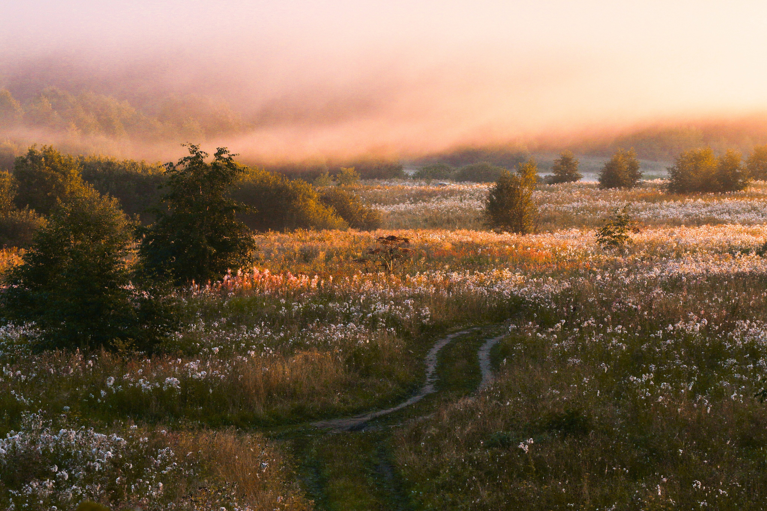 ПЕЙЗАЖ. Фотограф Николай Костюк