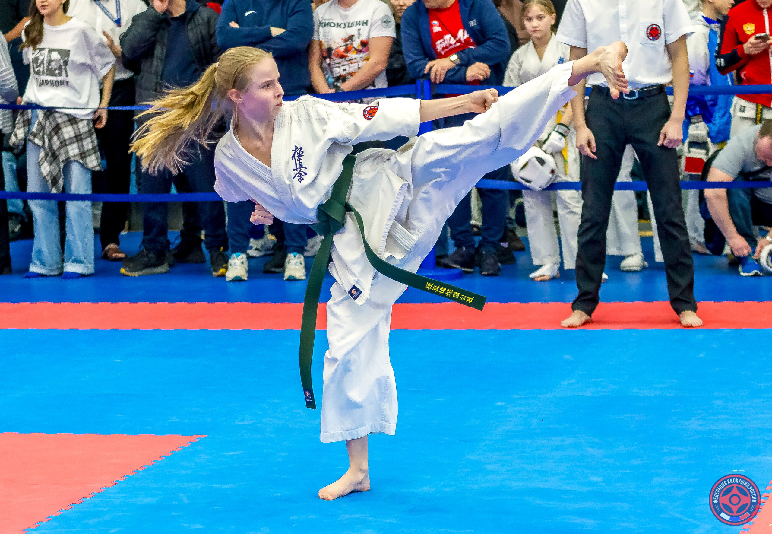 Международный турнир по киокушин «Открытый кубок Seiken». Репортажная съемка в Москве и области. Анималистика