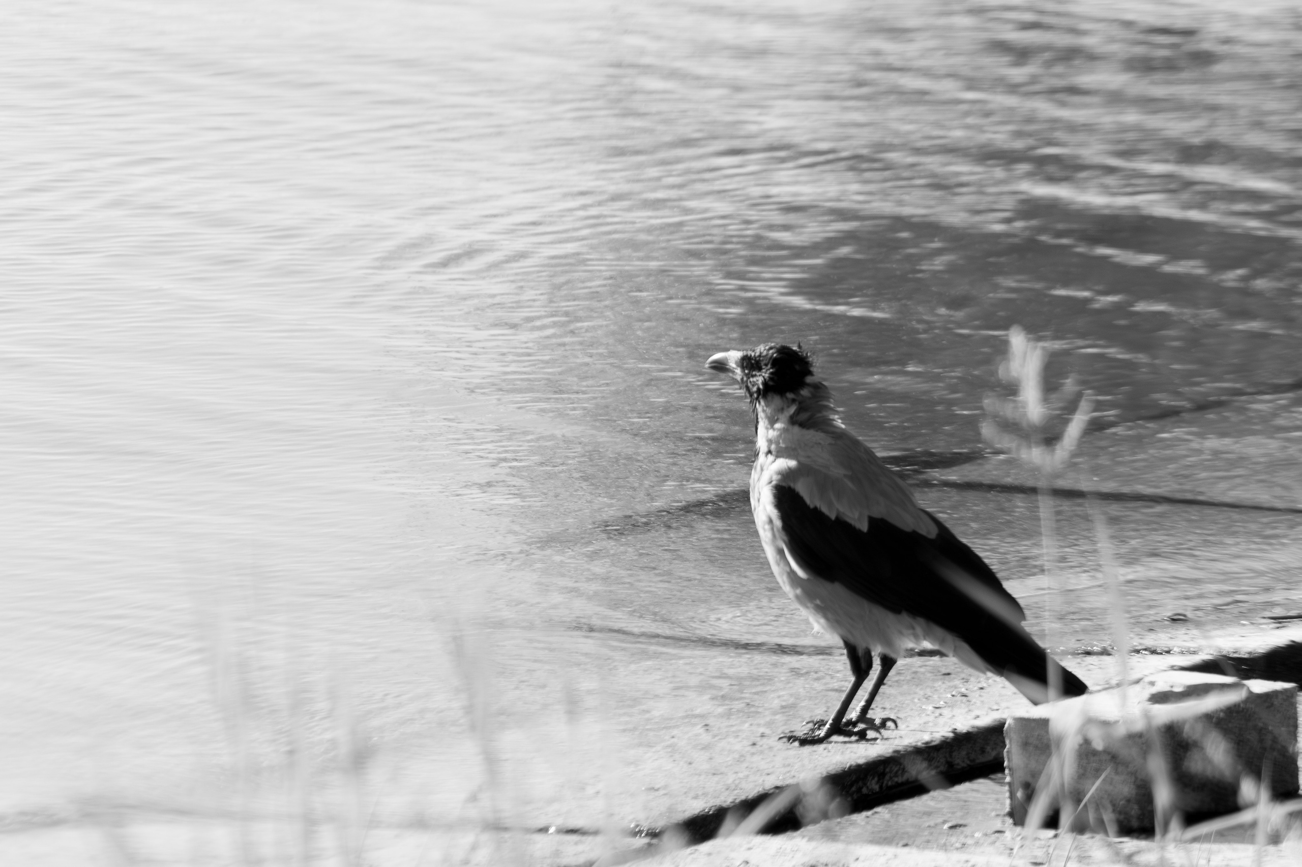 О себе. Фотограф Наталья Мершина