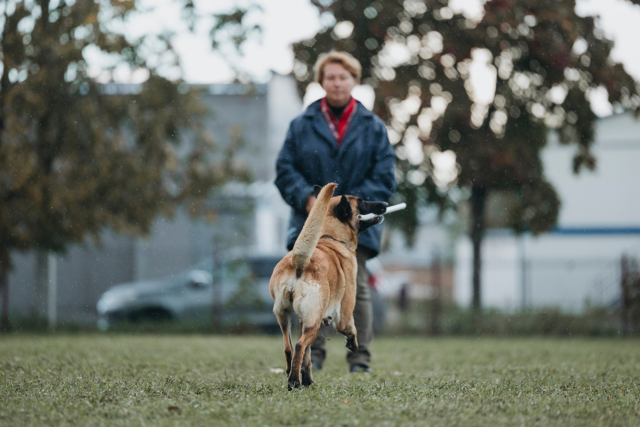 Испытания по мондьорингу г. Пушкин 29.09.2024. Фотограф-анималист Анна Маринич