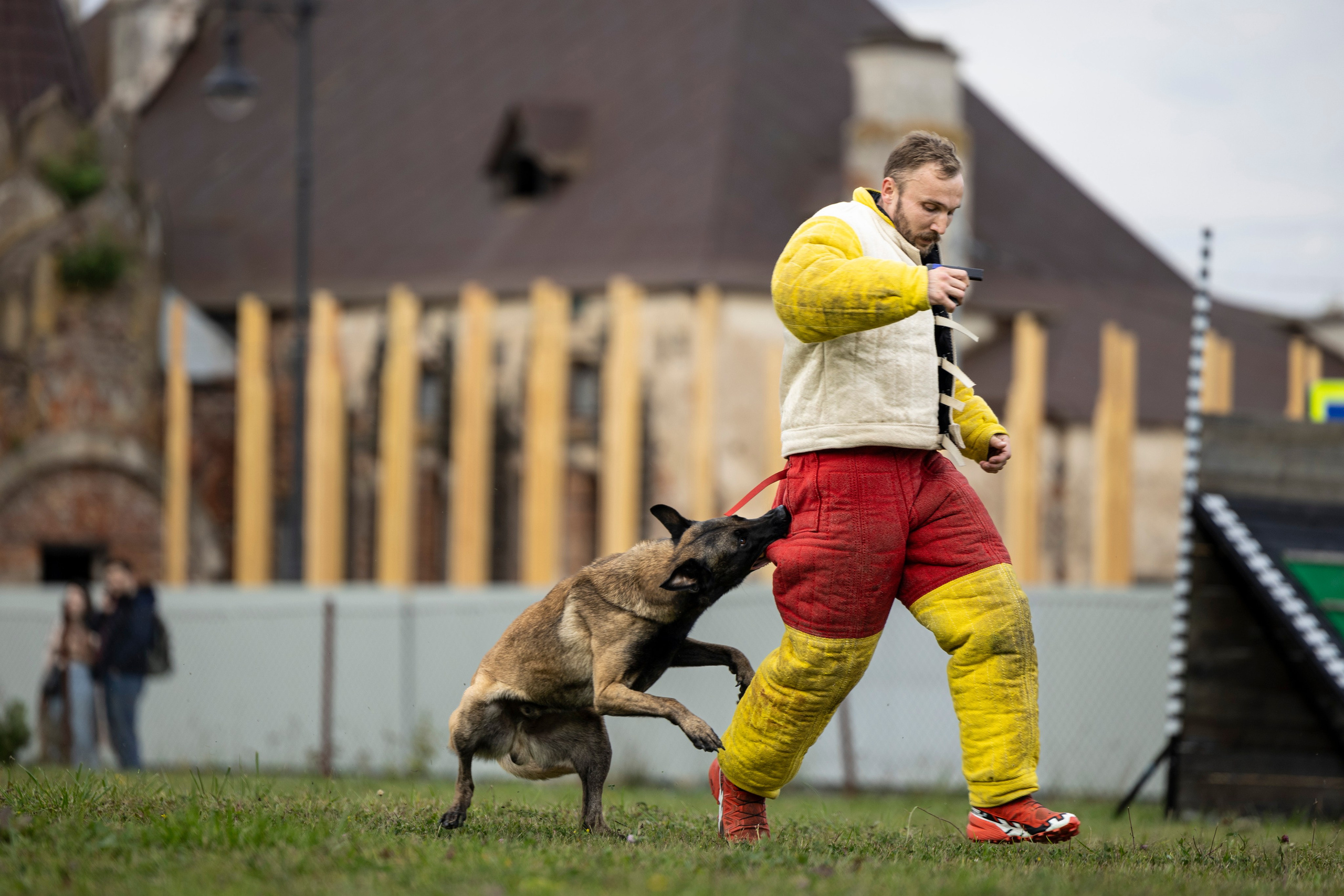 Испытания по Мондьорингу г. Пушкин. Фотограф-анималист Анна Маринич