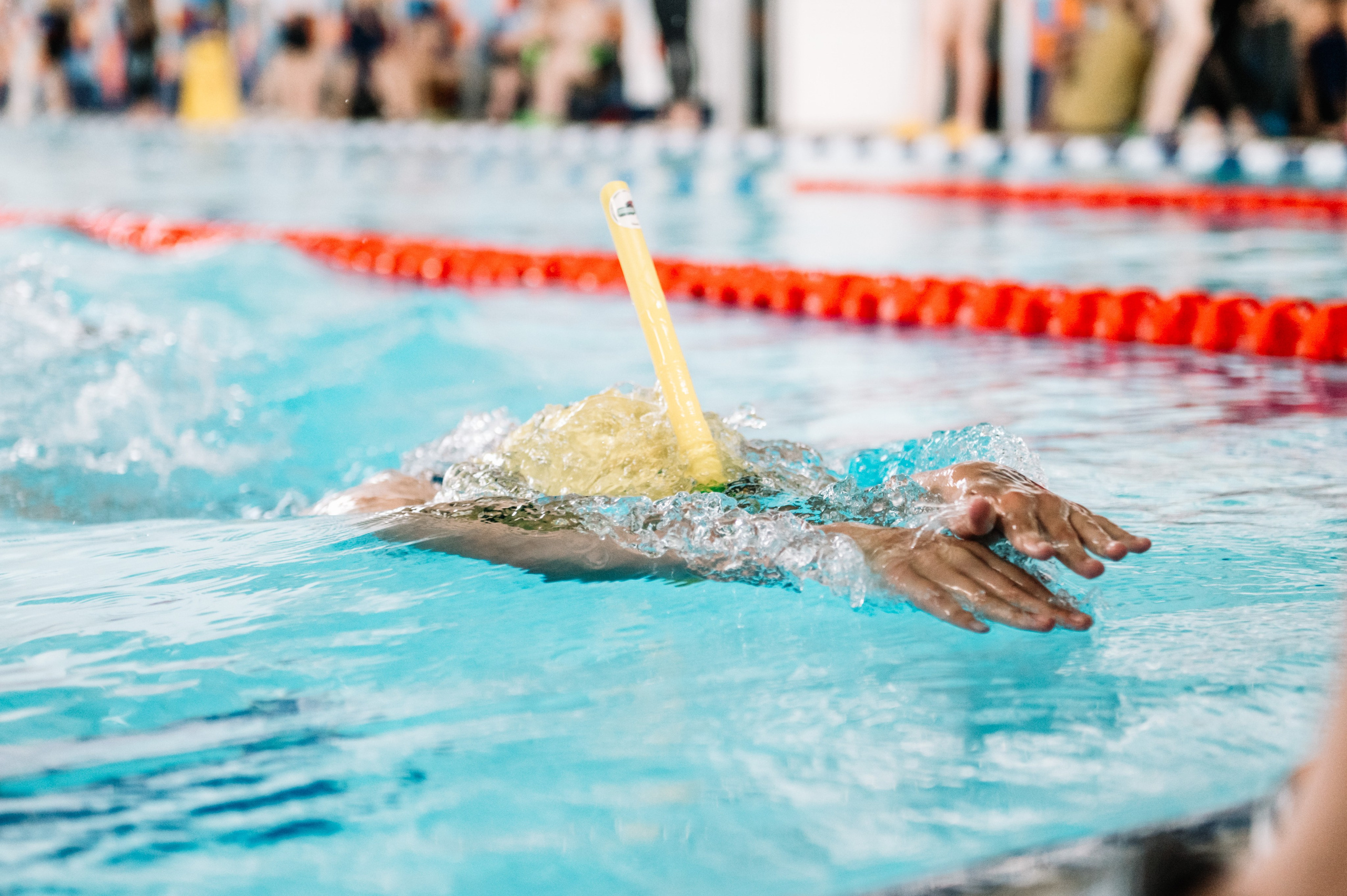 Финал кубка плавания ШП Дельфин. Июнь, 2025. Спортивный фотограф в Туле и Тульской области. Файсханова Фото Спорт