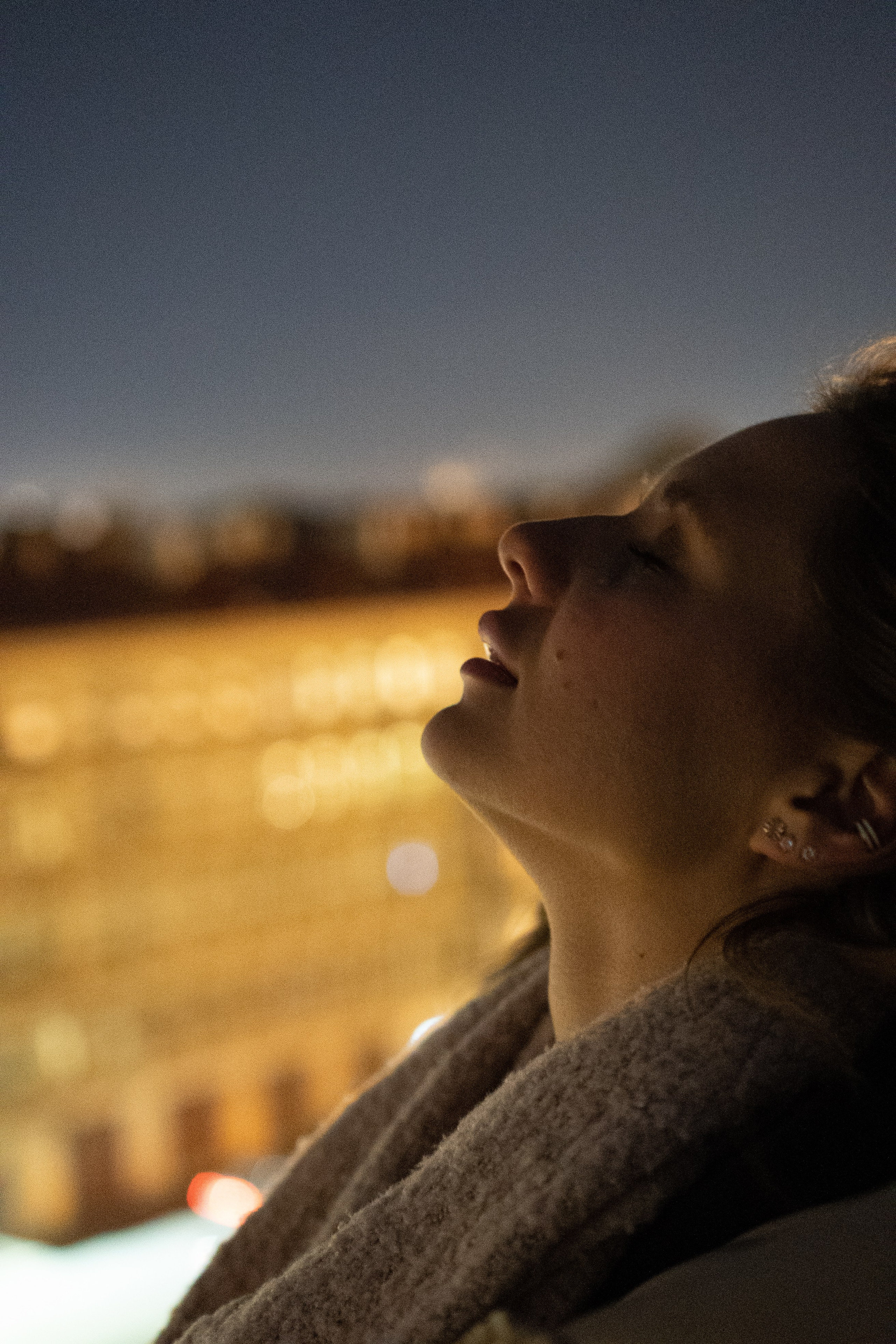 Крыши Питера. Профессиональный фотограф, Санкт-Петербург — Виктория Богомолова