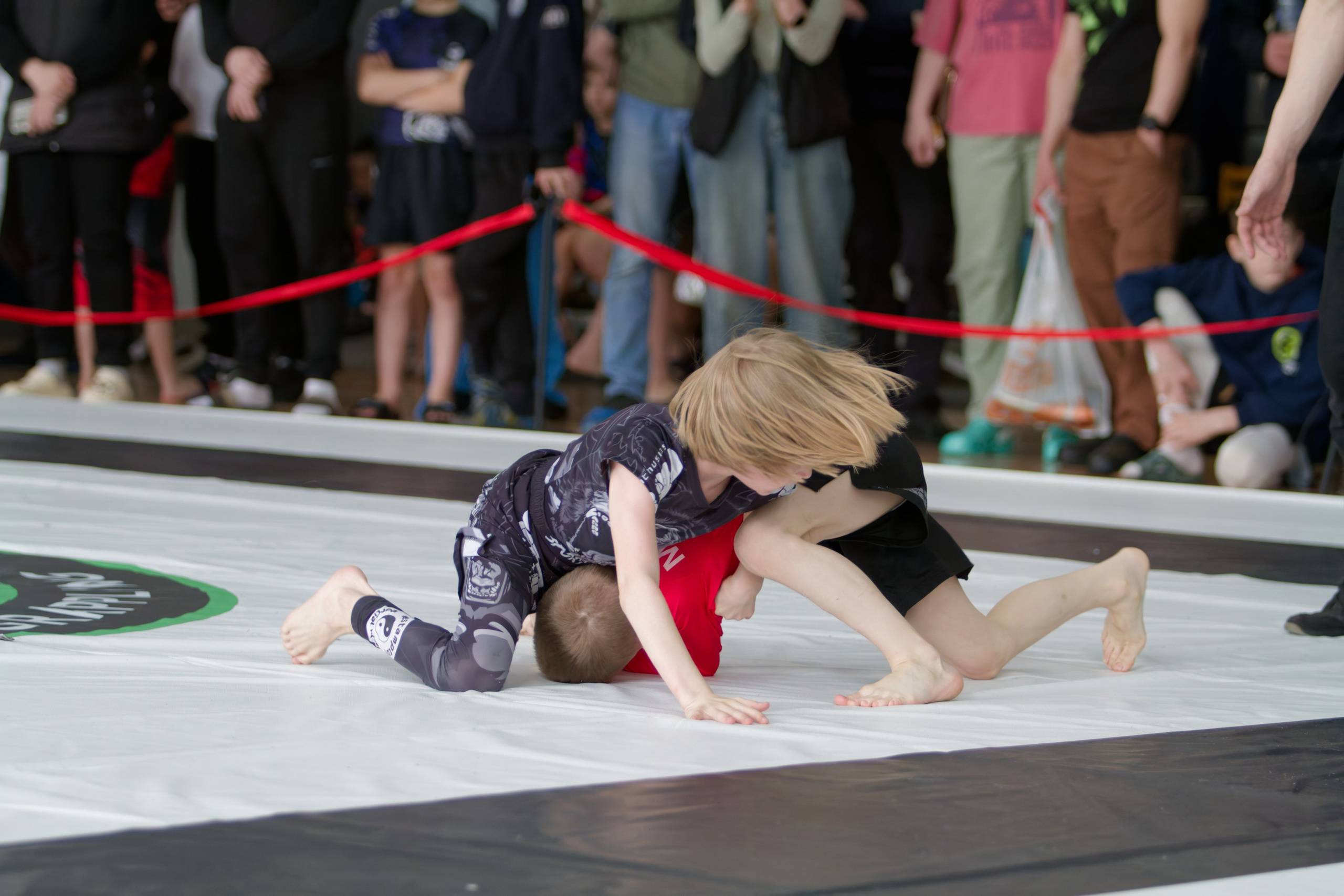 Борьба. Джиу-джитсу 26.04.2025. Репортажный и спортивный фотограф в г. Пермь Зильберг Павел