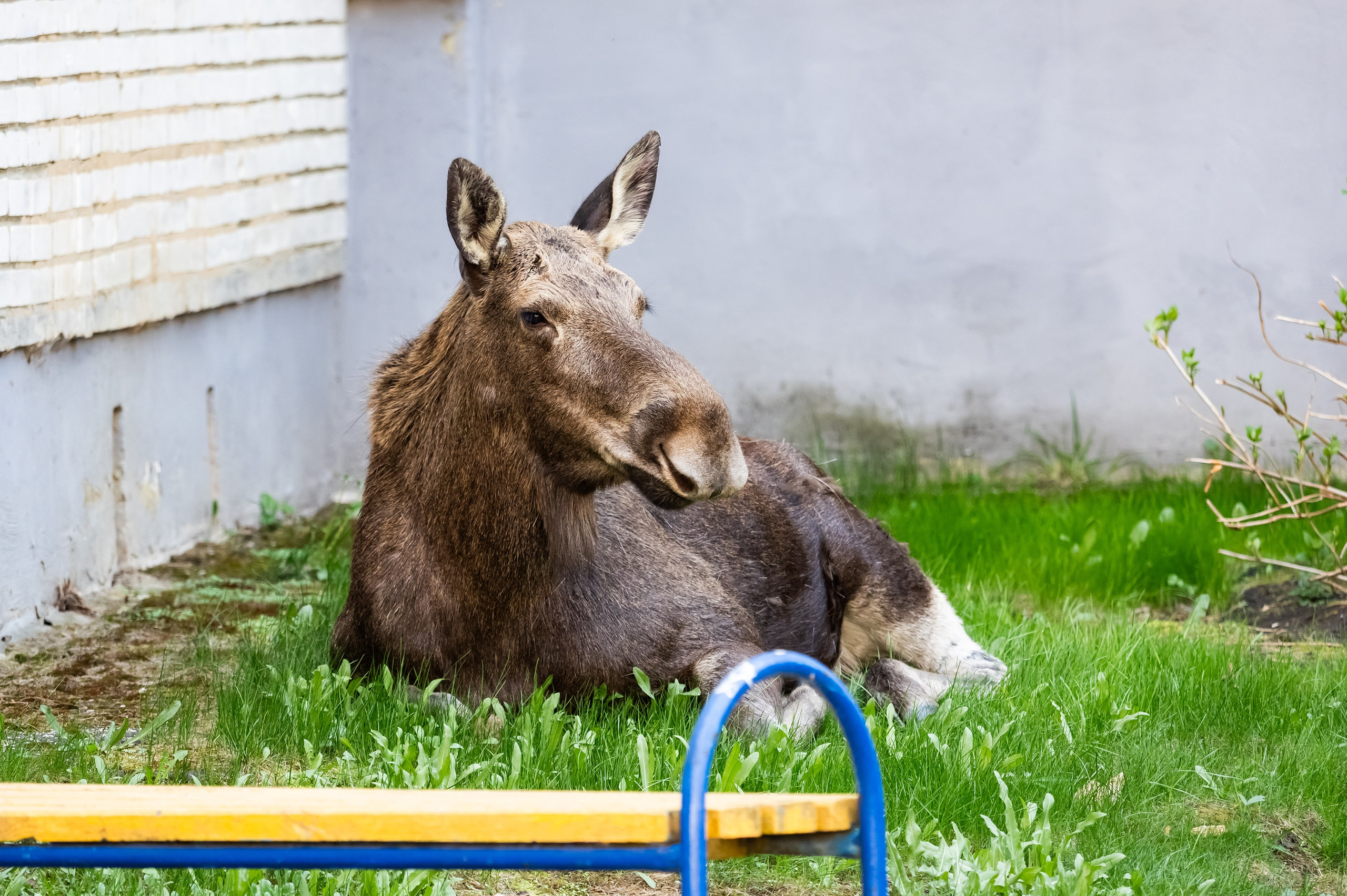 Красота Заречного. Репортажный, семейный и детский фотограф в Пензе и Заречном Арина Ермилова. Картины барельеф на заказ