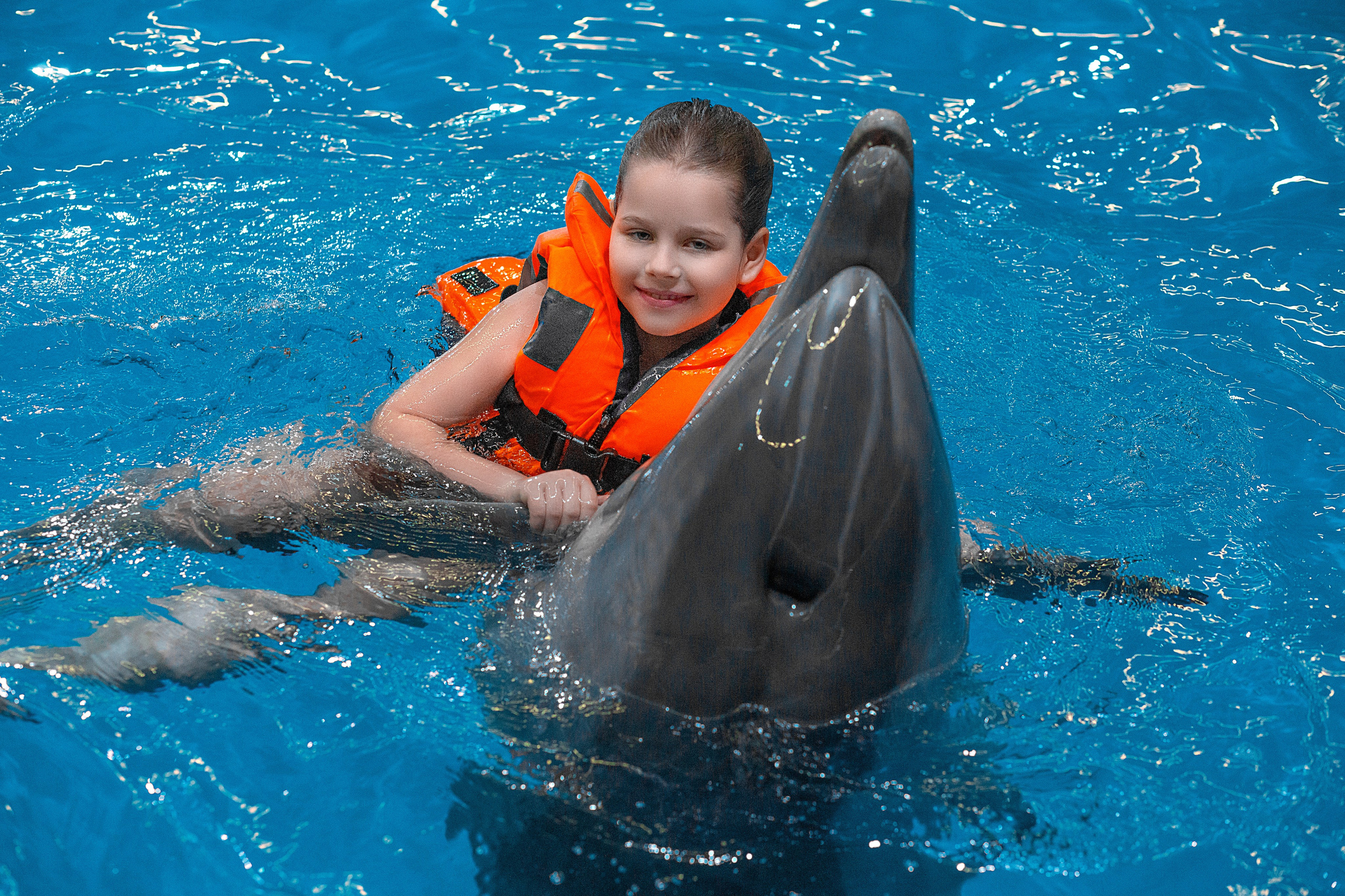 Фотосессия с дельфинами. Фотосессия с лошадьми в Нижнем Новгороде