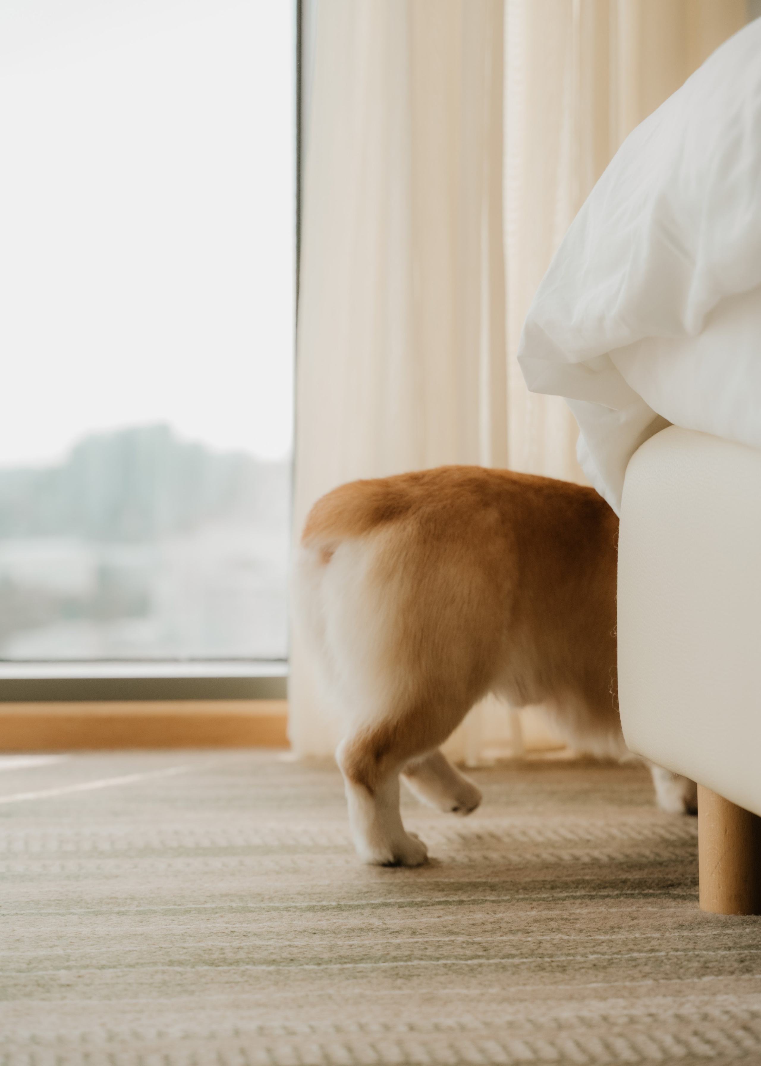 Никита и Даша | Свадебный день