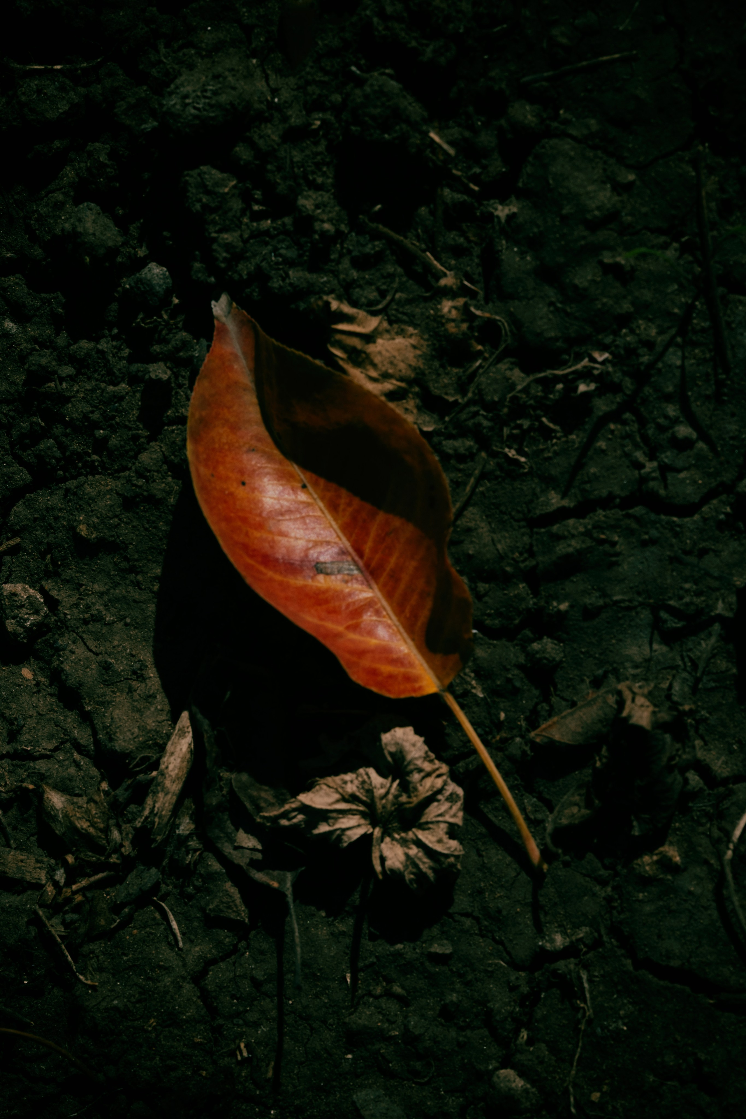 Зарисовки на балконе и на даче. Фотограф в Москве, в Самаре Инна Мамонова