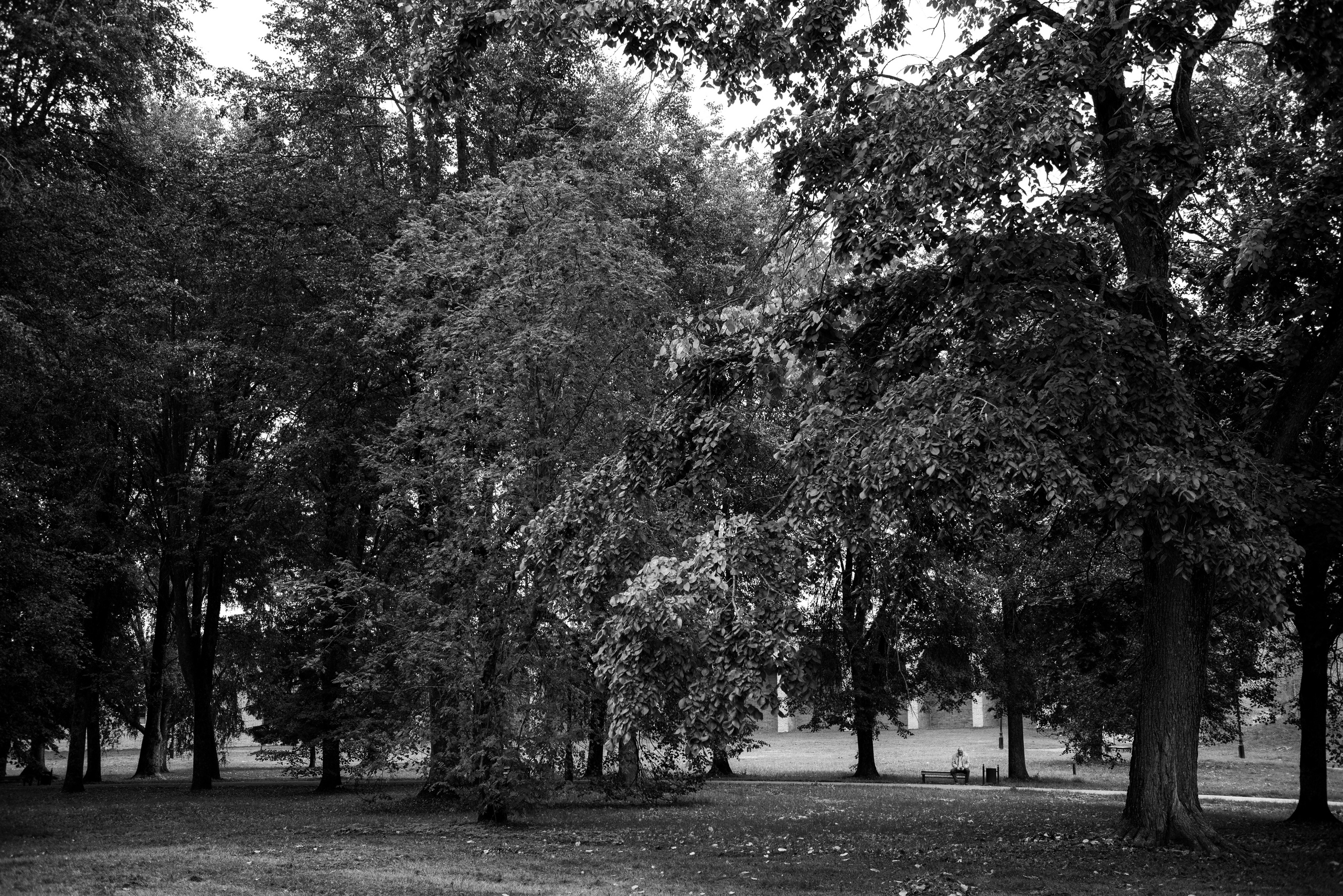 Великий Новгород. Портретный и архитектурный фотограф в Москве и Санкт-Петербурге