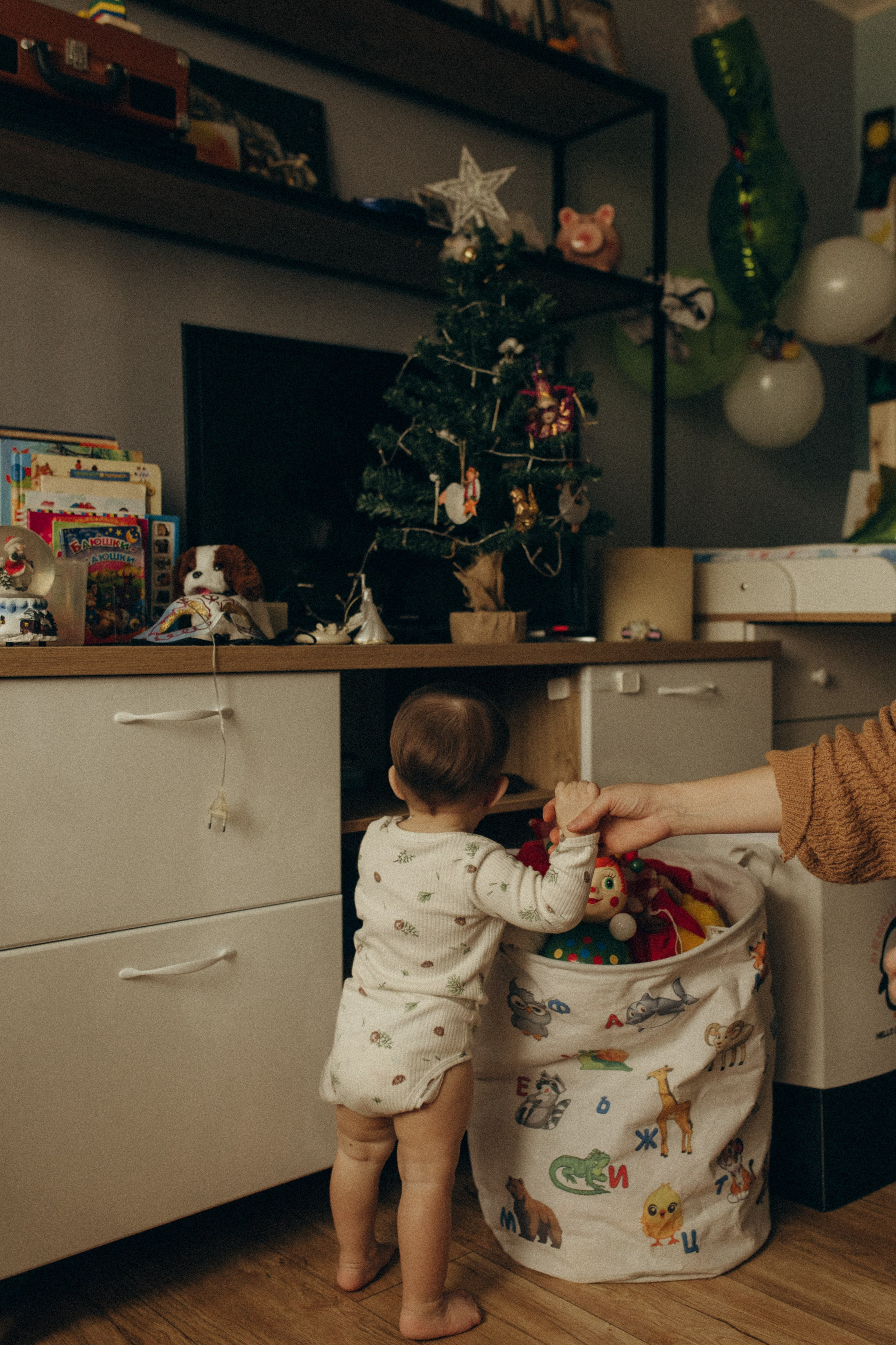 Домашняя история. Meryfotoidea