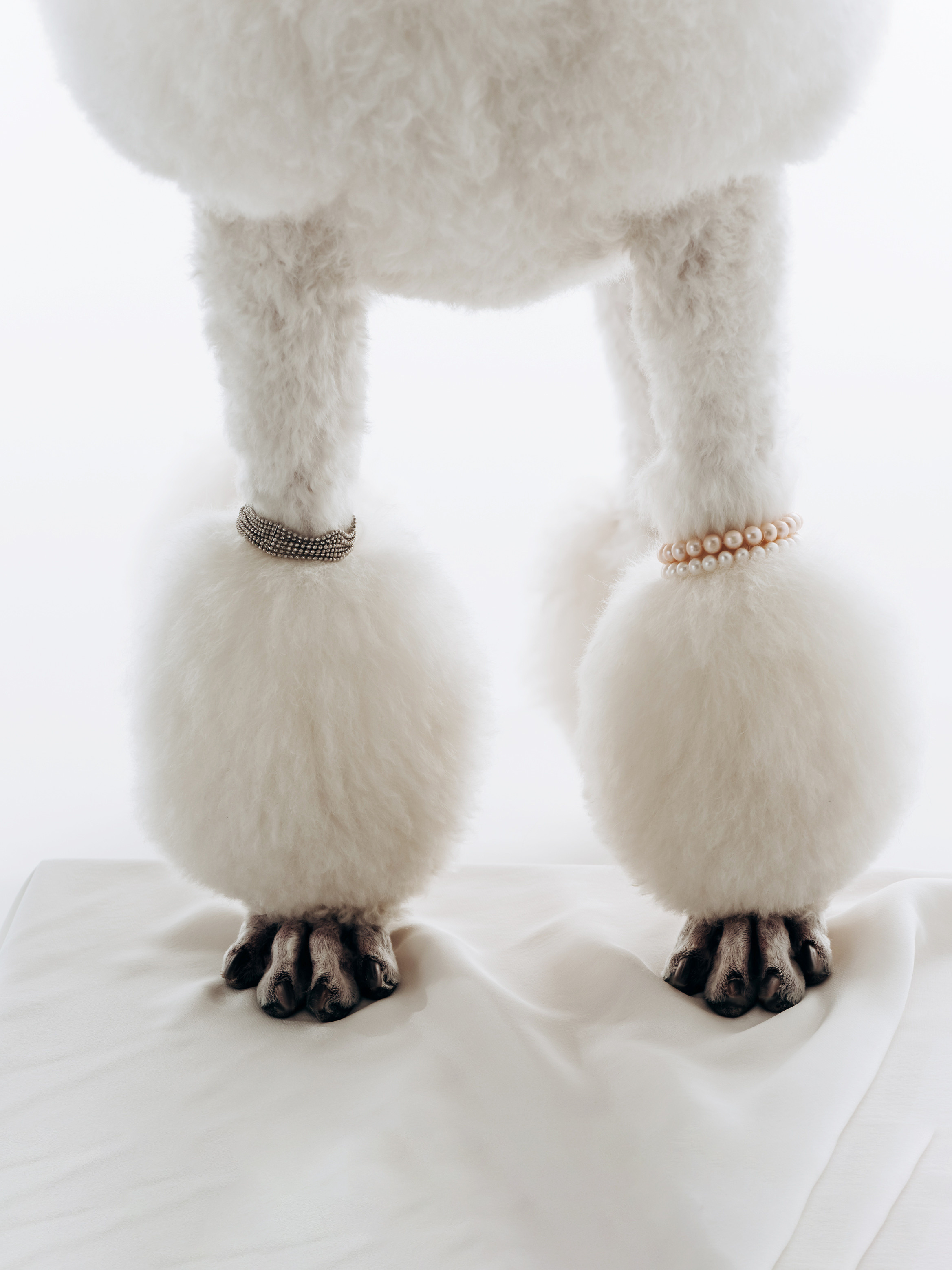 Ювелирная съемка. Ювелирный фотограф, продюсер Алёна Галичева