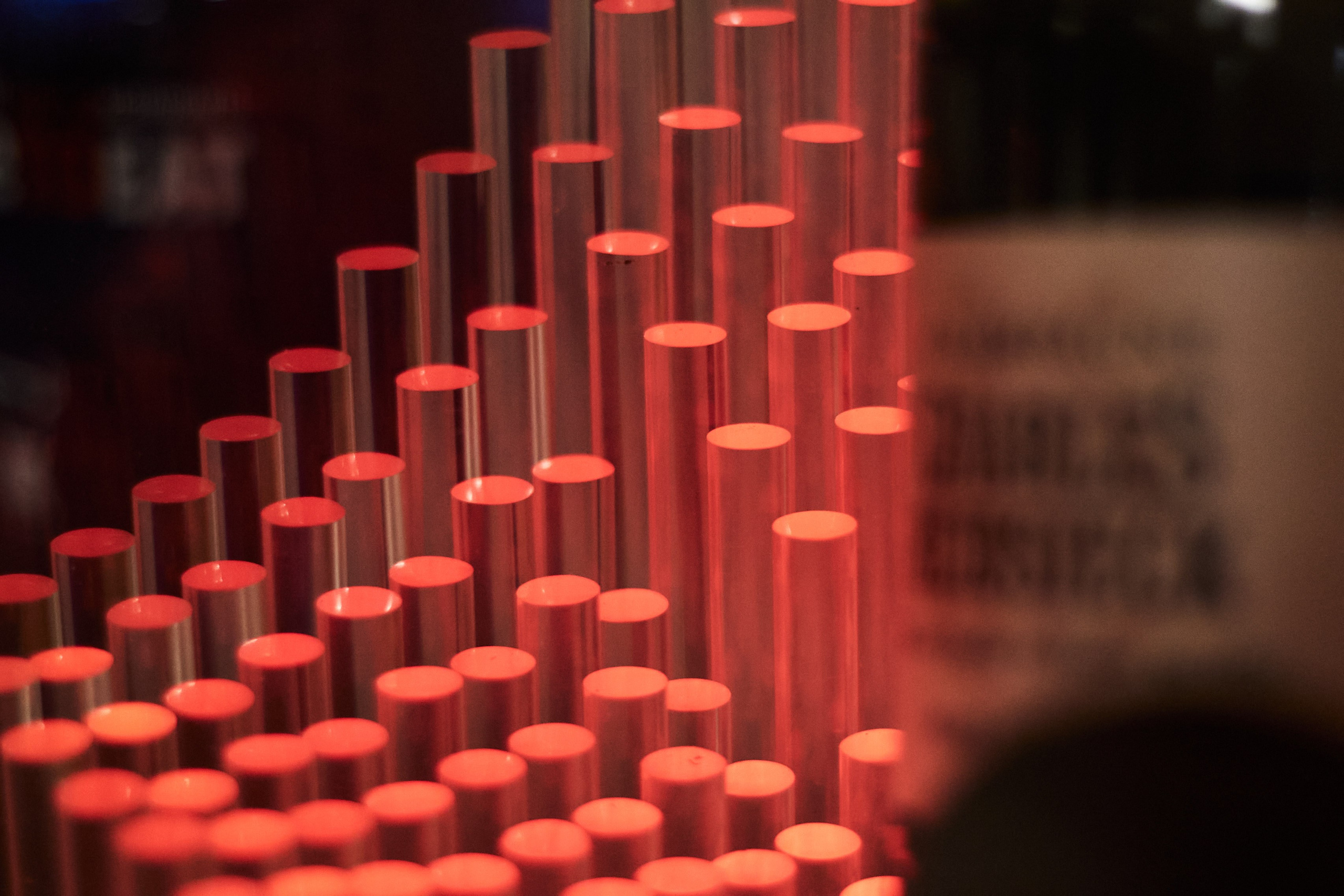 AMUR — 8 МАРТА. СВОИ. ФОТООТЧЕТЫ-СОБЫТИЯ-МЕСТА