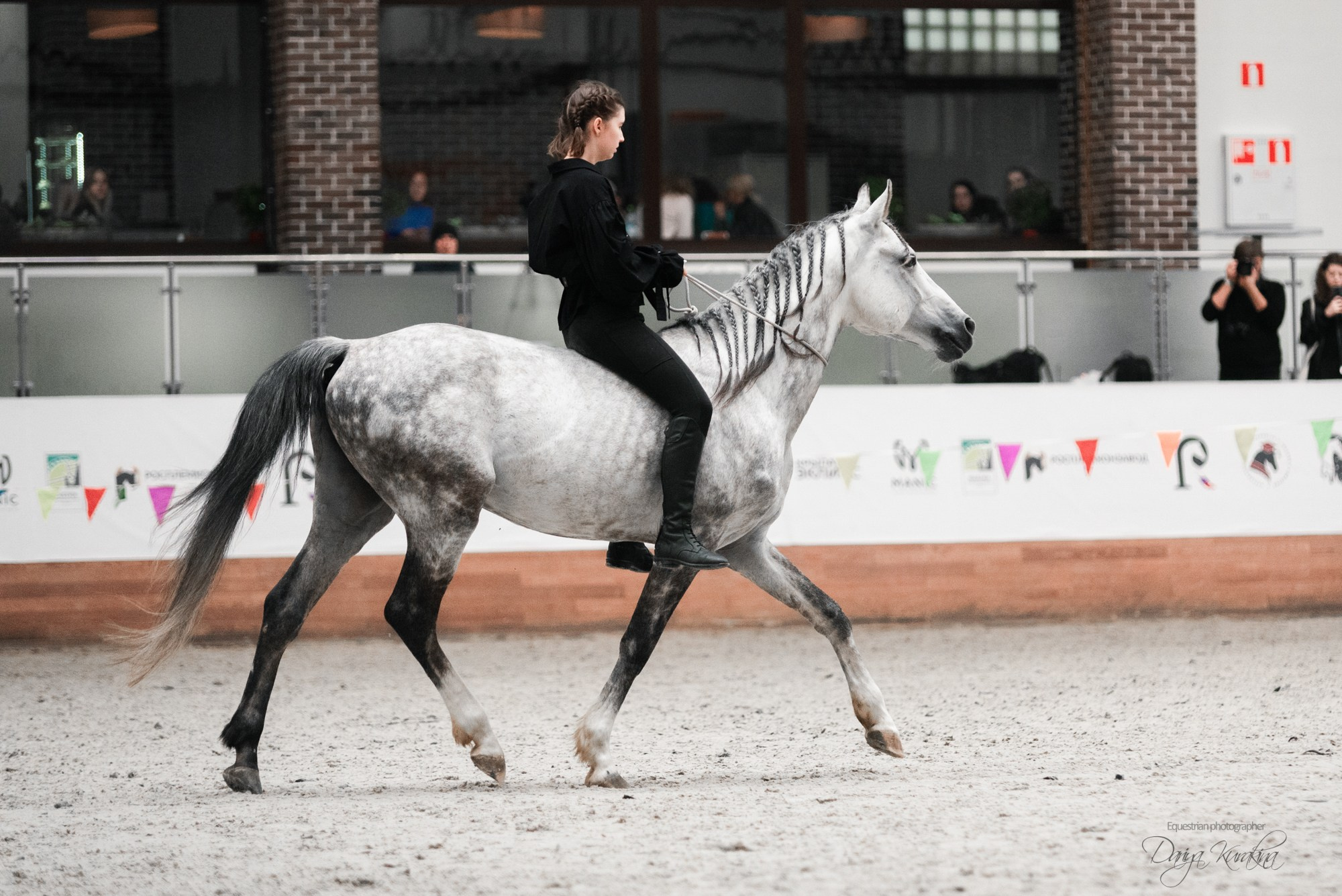 8-я международная выставка Конная Россия. Конный фотограф Куракина Дарья • Фотосессии с лошадьми