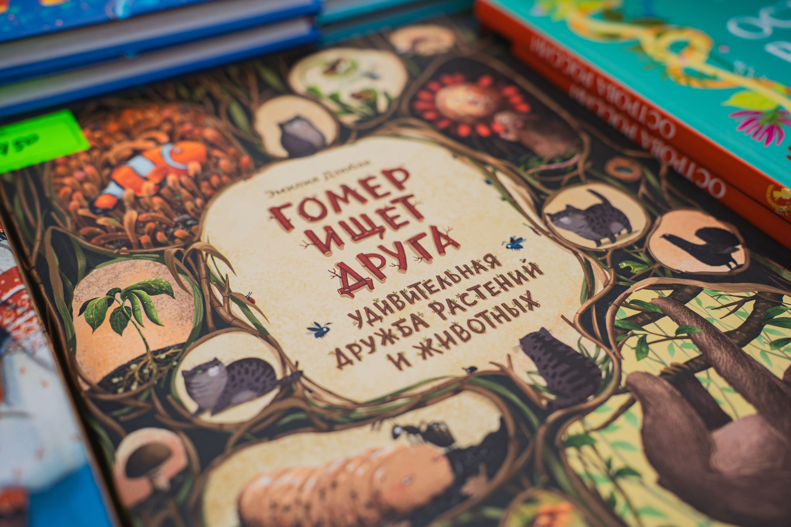 МИФ Non/fictio№ 2025 стенды. Репортажный фотограф Анастасия Рубцова