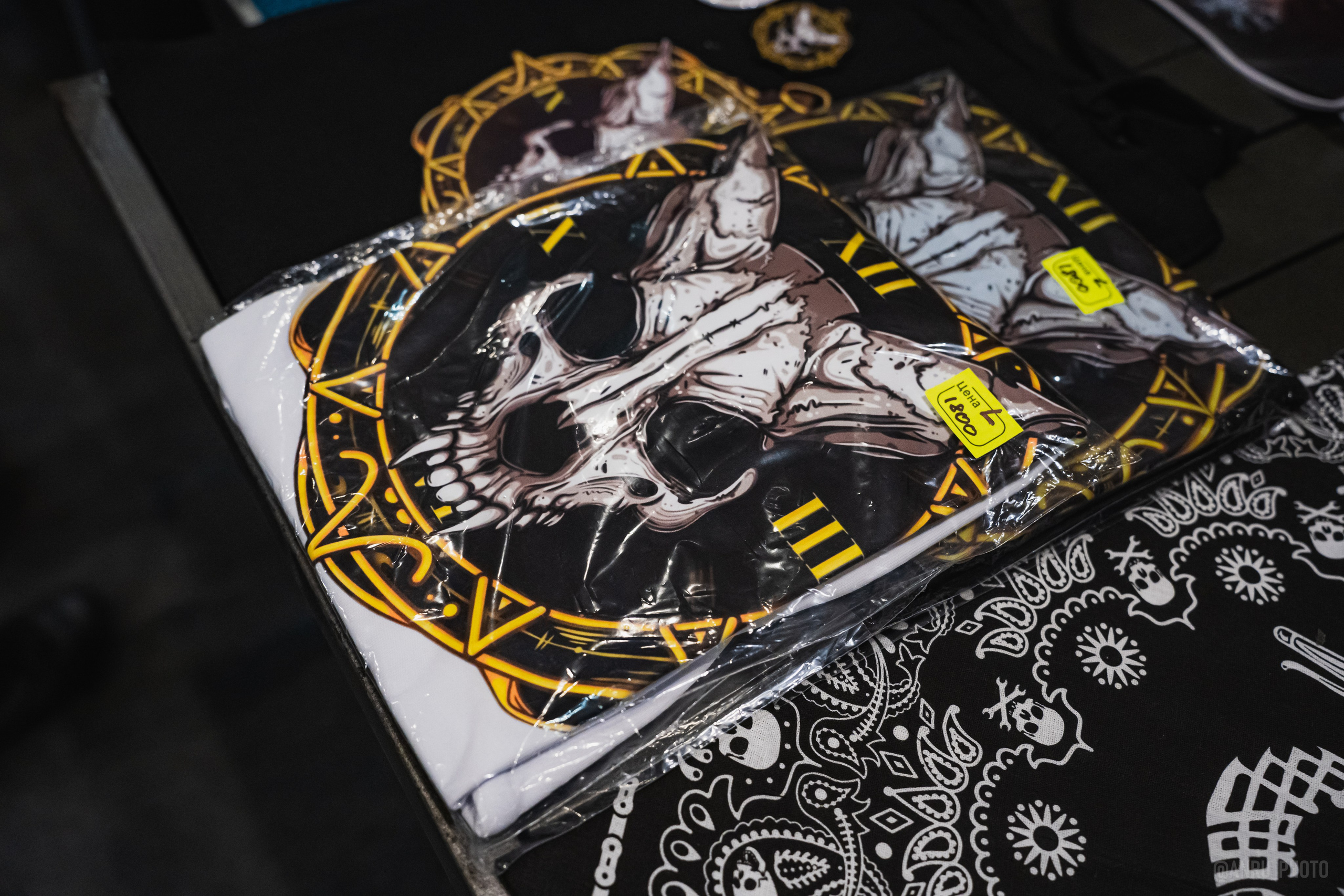 Выставка, гости на Nord fest. Репортажный фотограф Анастасия Рубцова