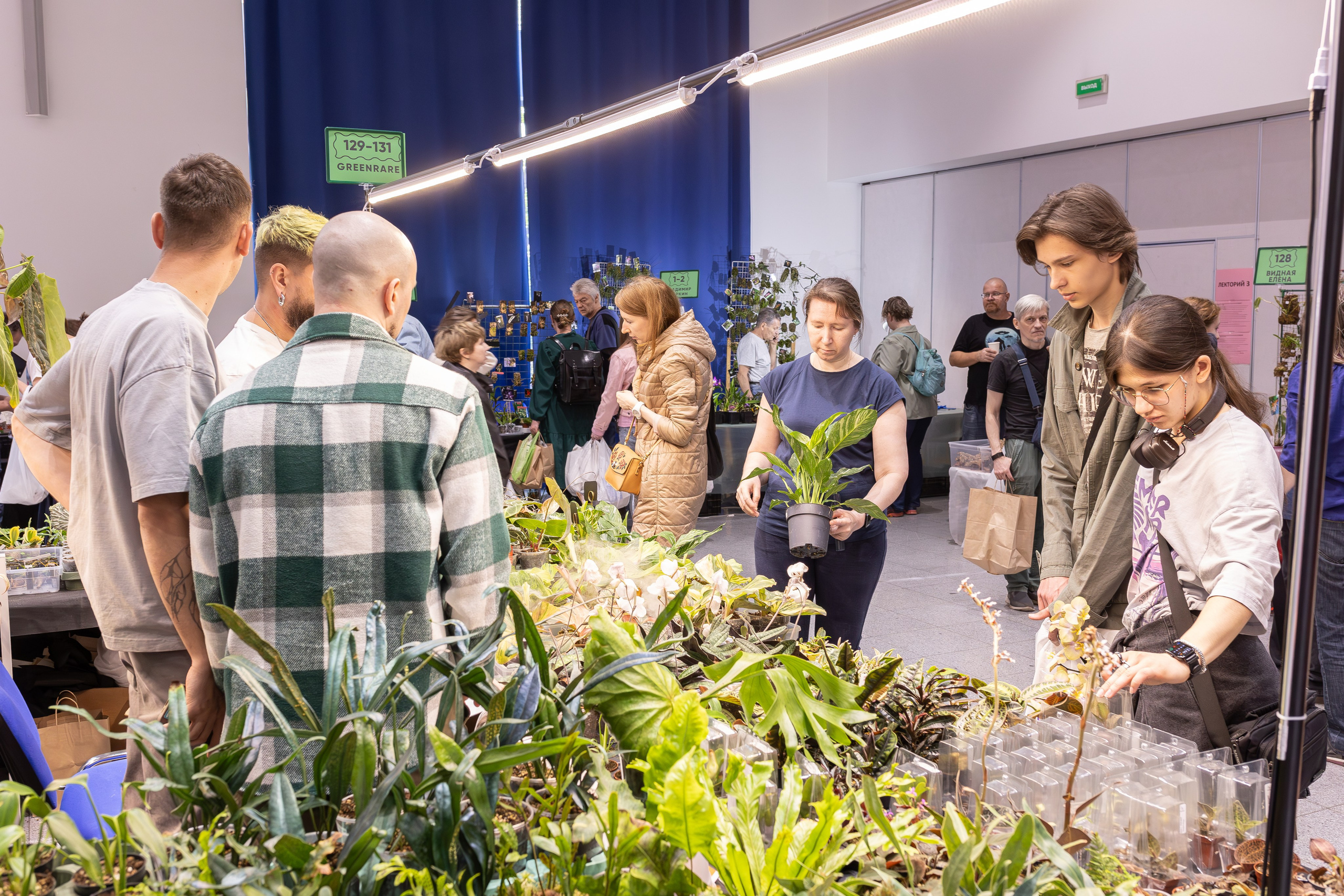 Орхидиум май 2025. Александра Куликова фотограф, Москва