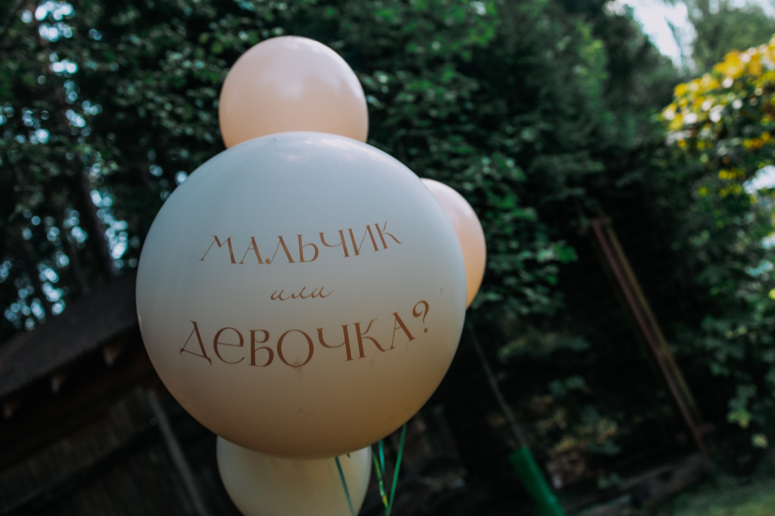 Беременность. Фотограф новорождённых в Москве и МО