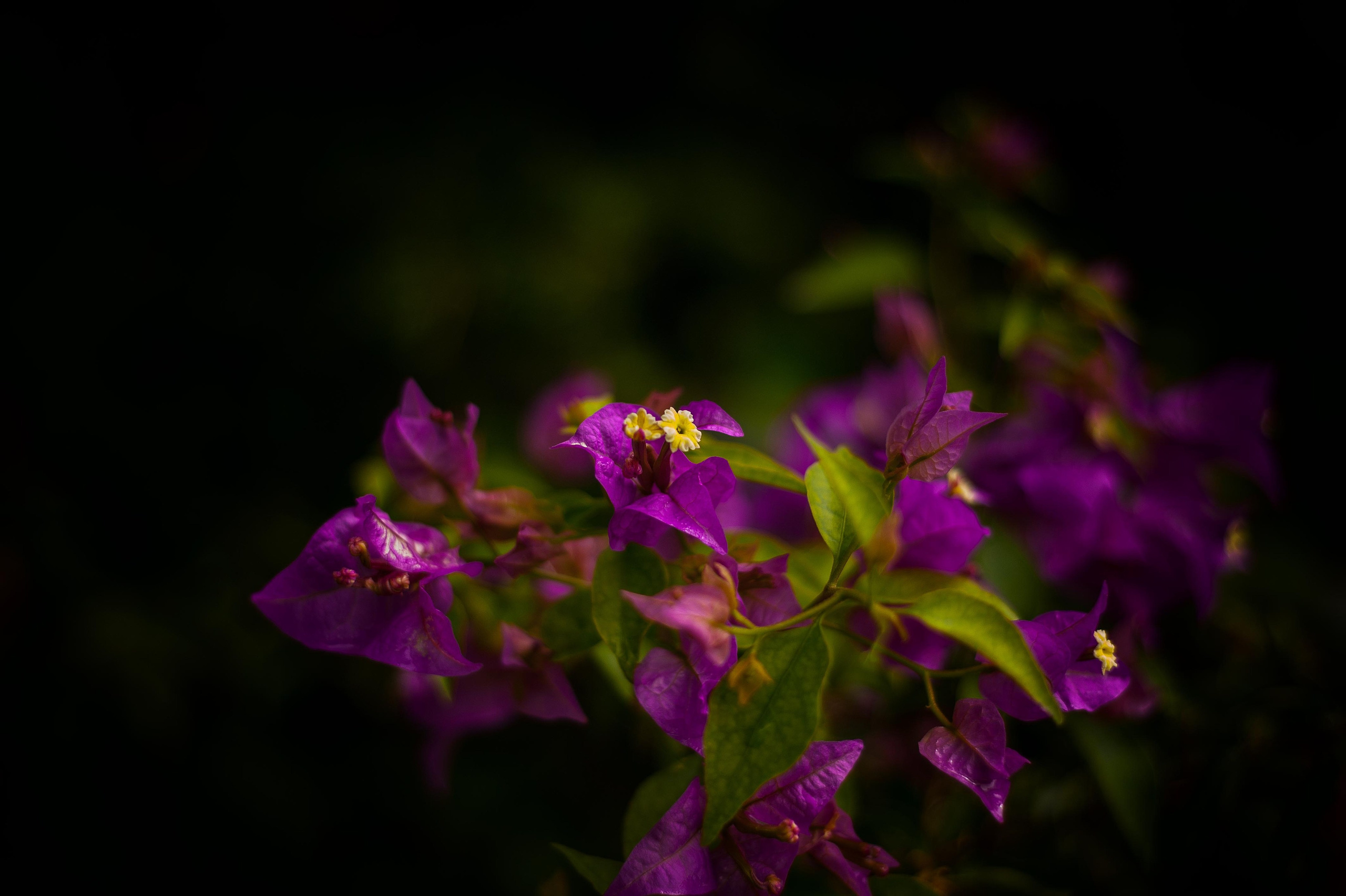 Vibe. Фотограф Милена Яновска