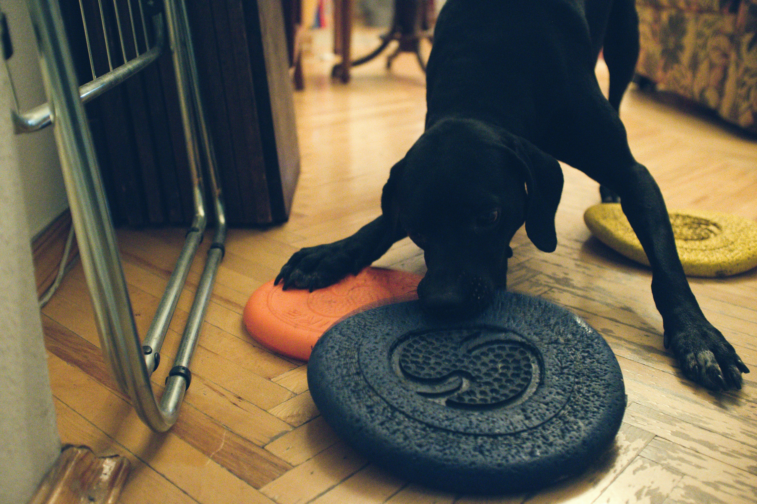 Чина и её люди. Дмитрий Бречалов