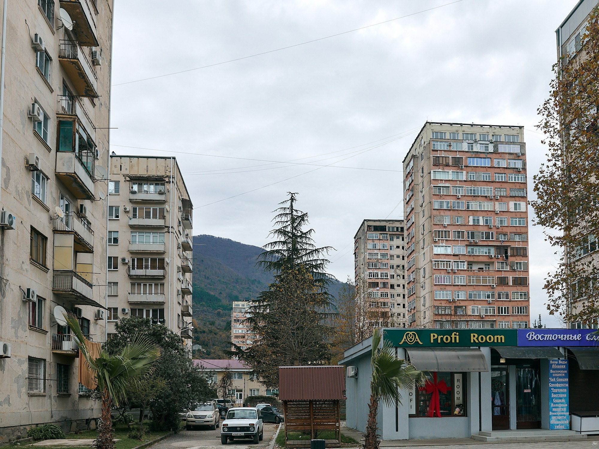 Гагра, Абхазия. Декабрь 2024. Фотографии отовсюду и обо всем