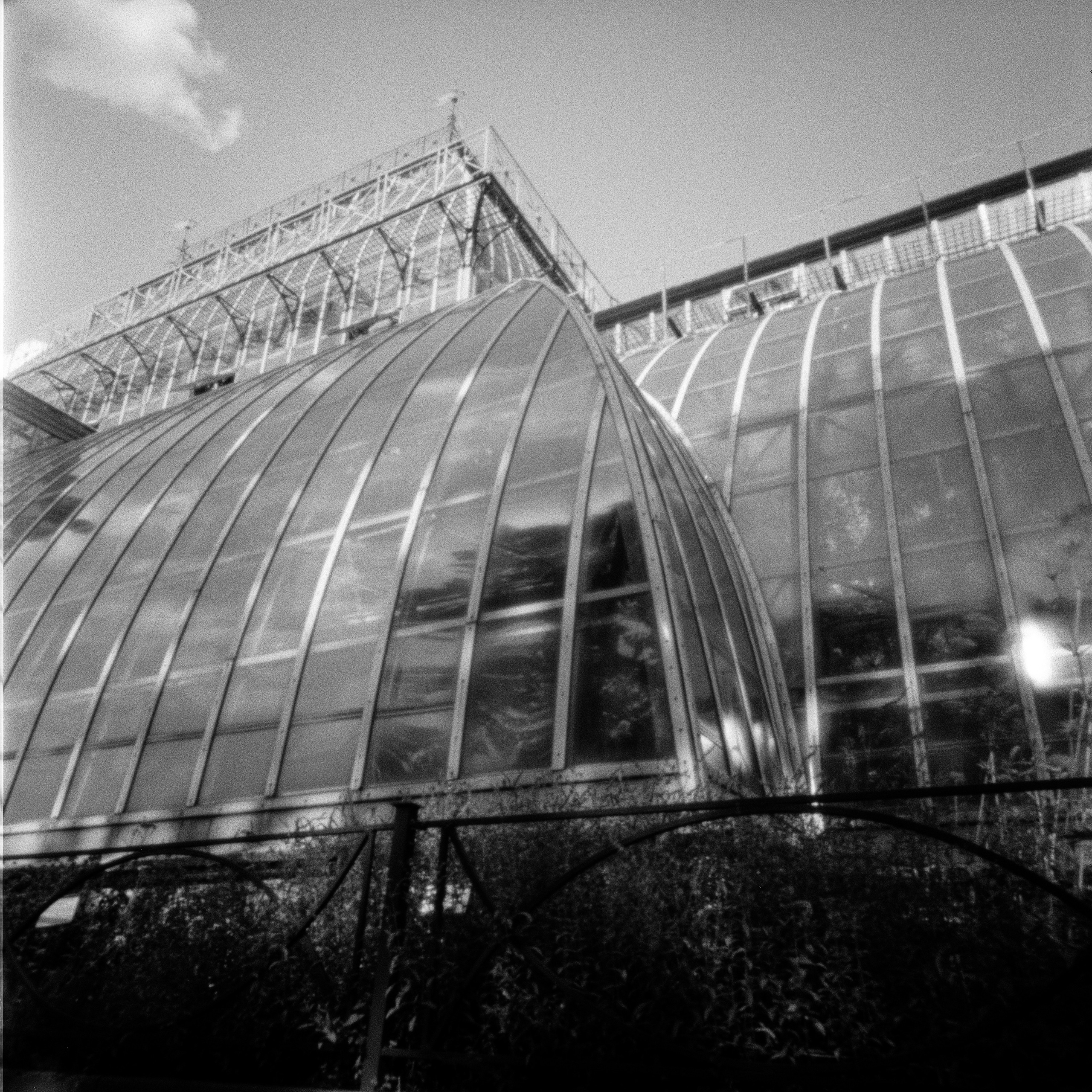 Pinhole. Philipp Yelistratov