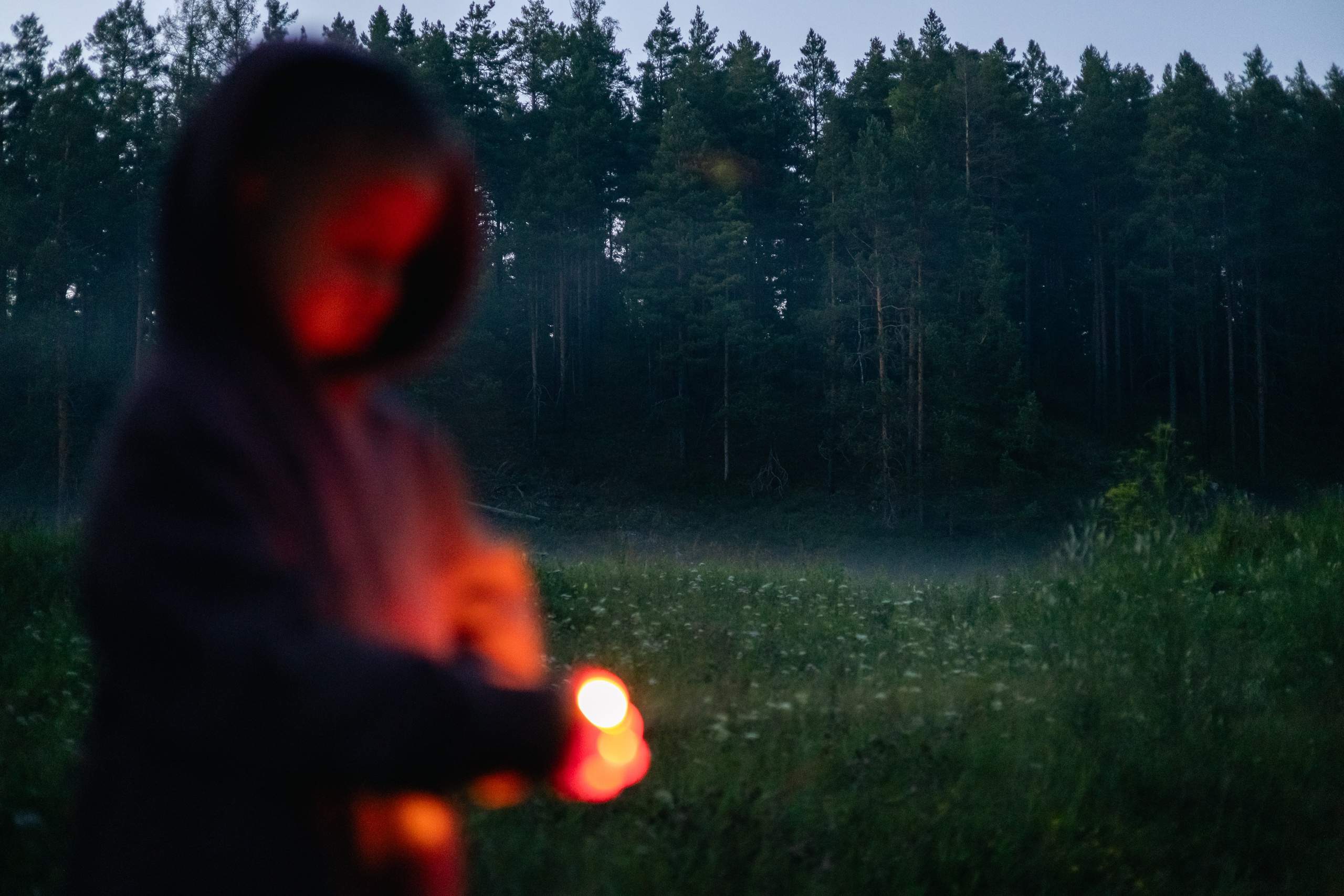 VI ОТКРЫТЫЕ КИНОЛОГИЧЕСКИЕ СОРЕВНОВАНИЯ. ЧЕЛЯБИНСКАЯ ОБЛАСТЬ 2025. Репортажный фотограф Наталья Лапцевич