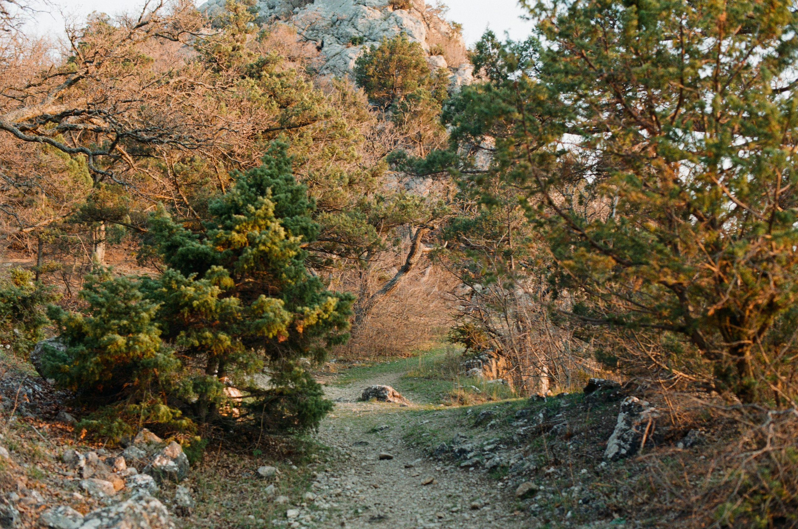 Some kind of madness // ukraine, crimea IV. EVER EXPOSED