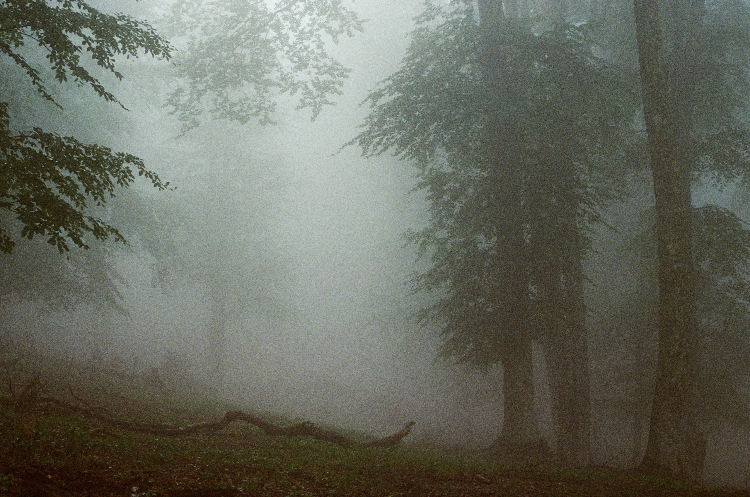 Dig it // ukraine, crimea II. EVER EXPOSED