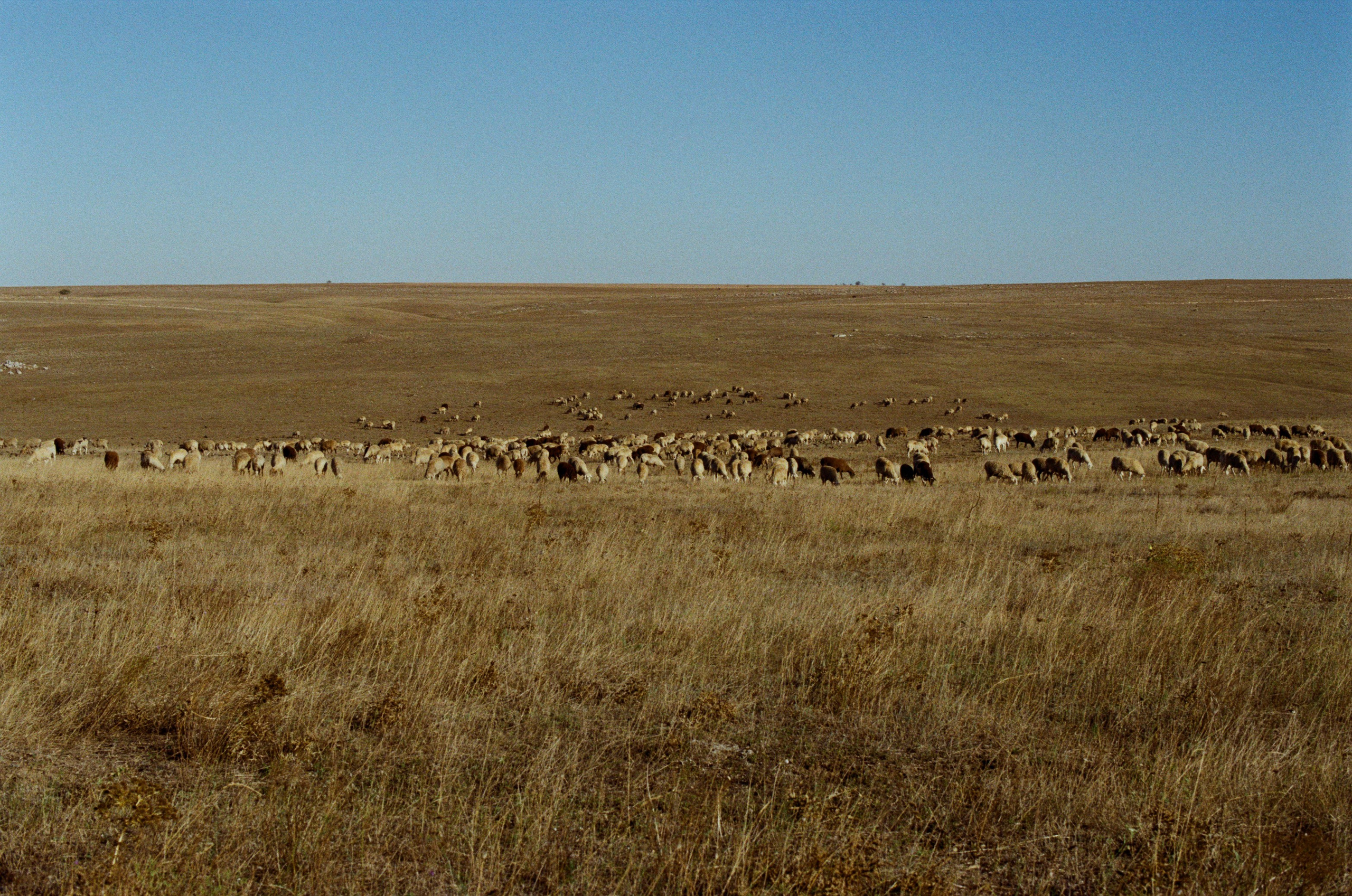 Lovesong // ukraine, crimea. EVER EXPOSED