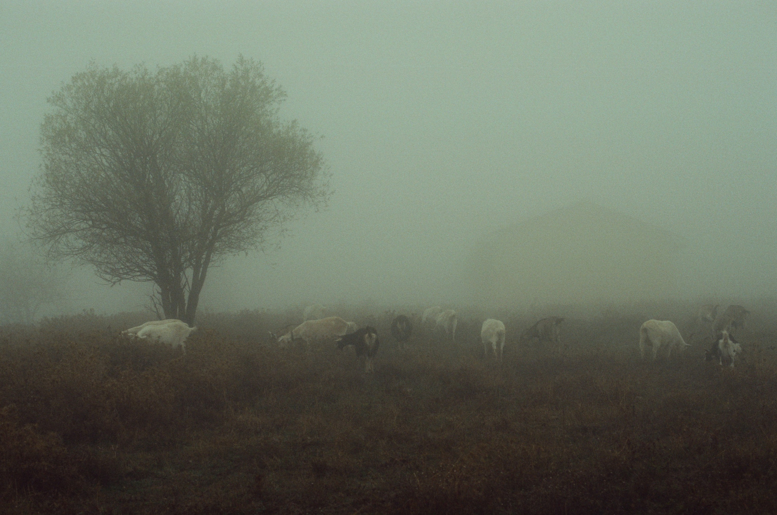 I o u // ukraine, crimea. EVER EXPOSED