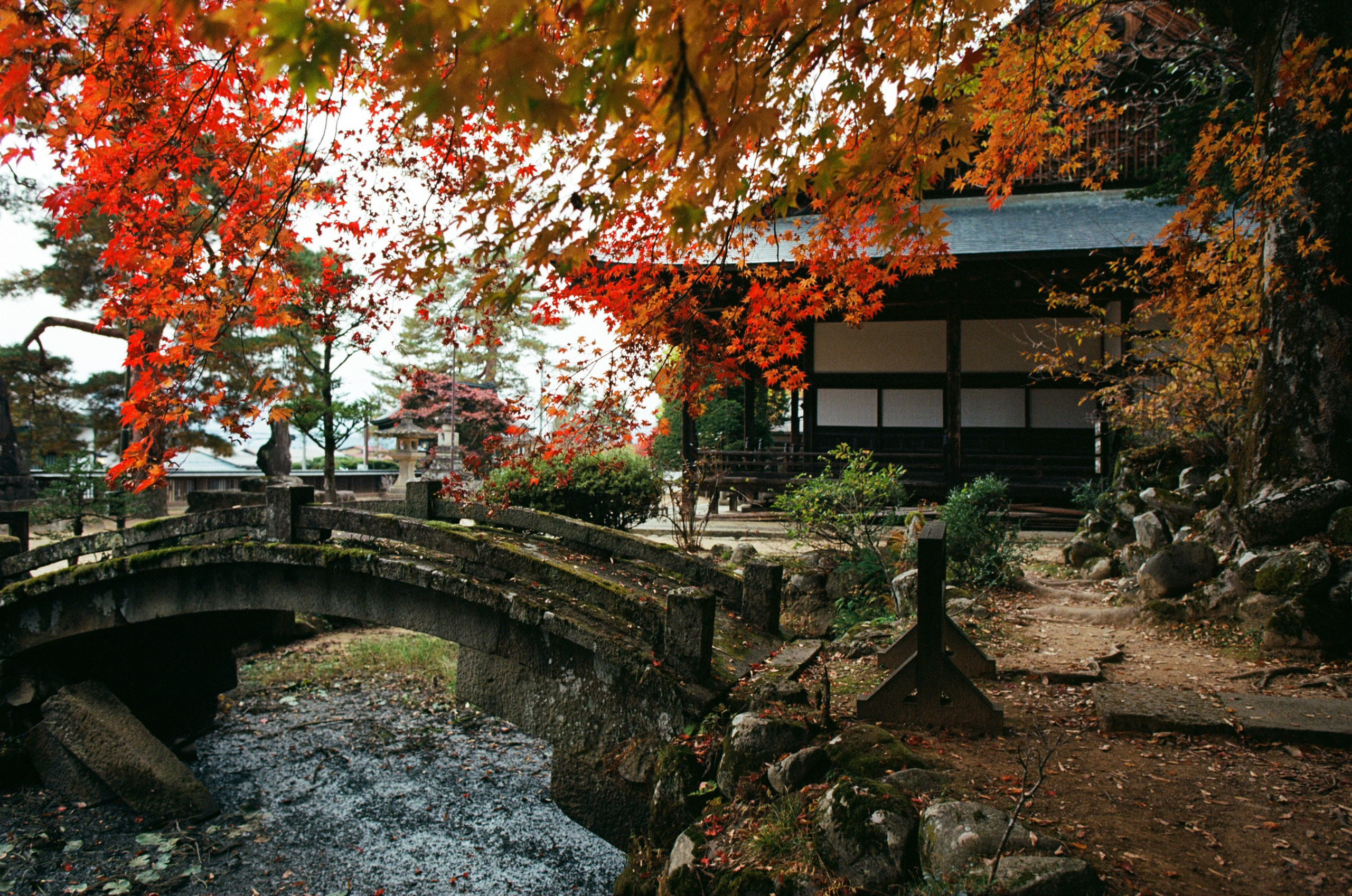 Out of noise // japan, takayama IV. EVER EXPOSED